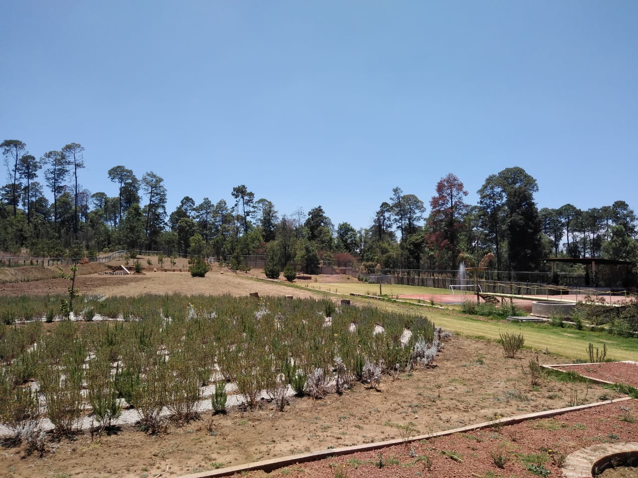 WhatsApp Image 2019-05-10 at 11.28.55 AM.jpeg