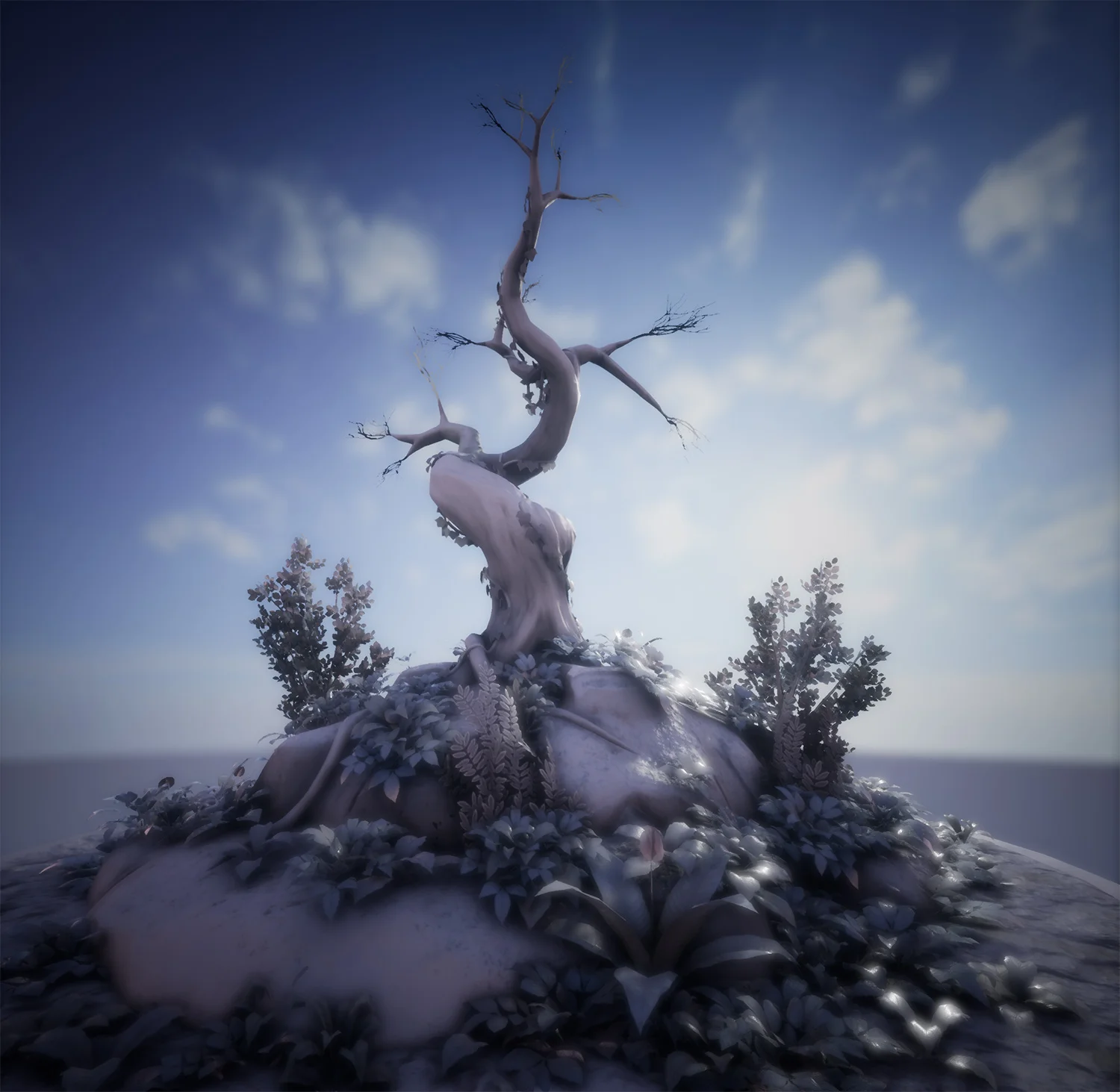 OldTree_D.jpg