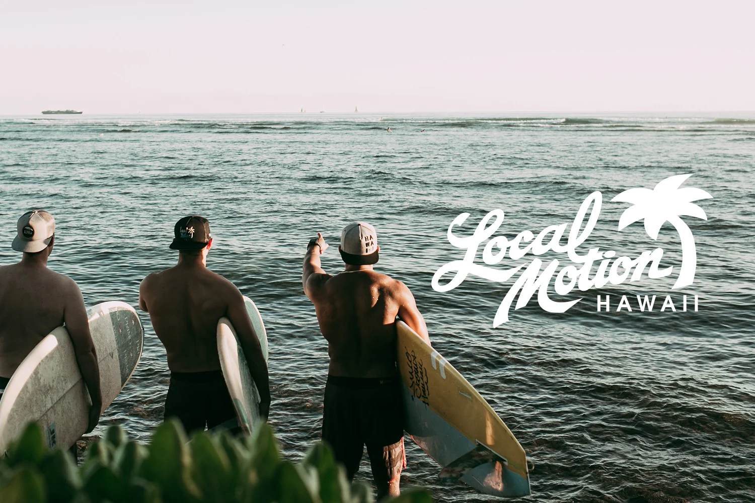 LM_header.jpg