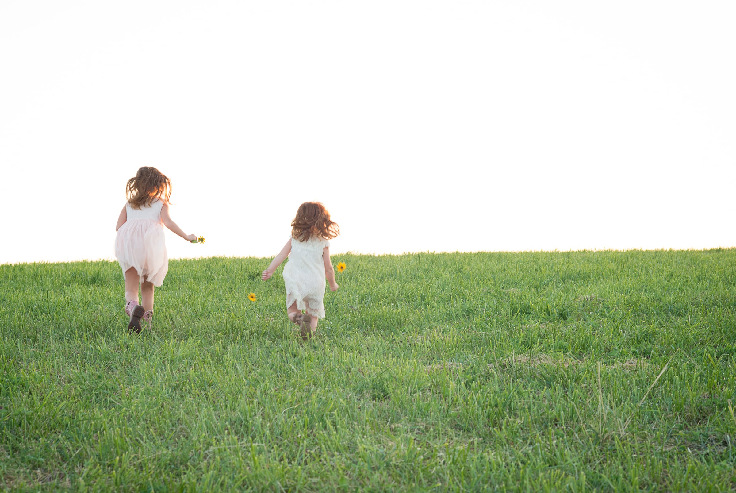 Two little girls run through a meadow at sunset