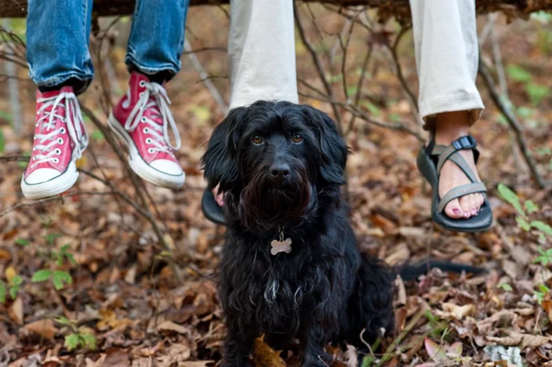 Mother and son sitting by their dog