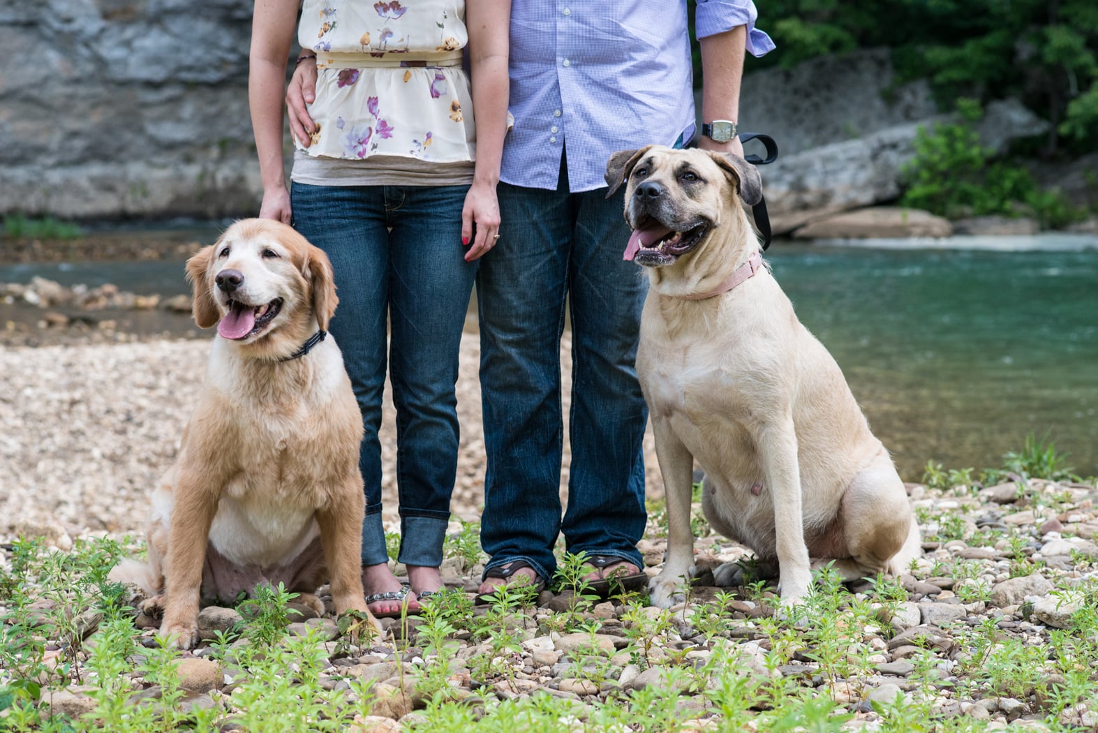 Engagement couple with their two dogs