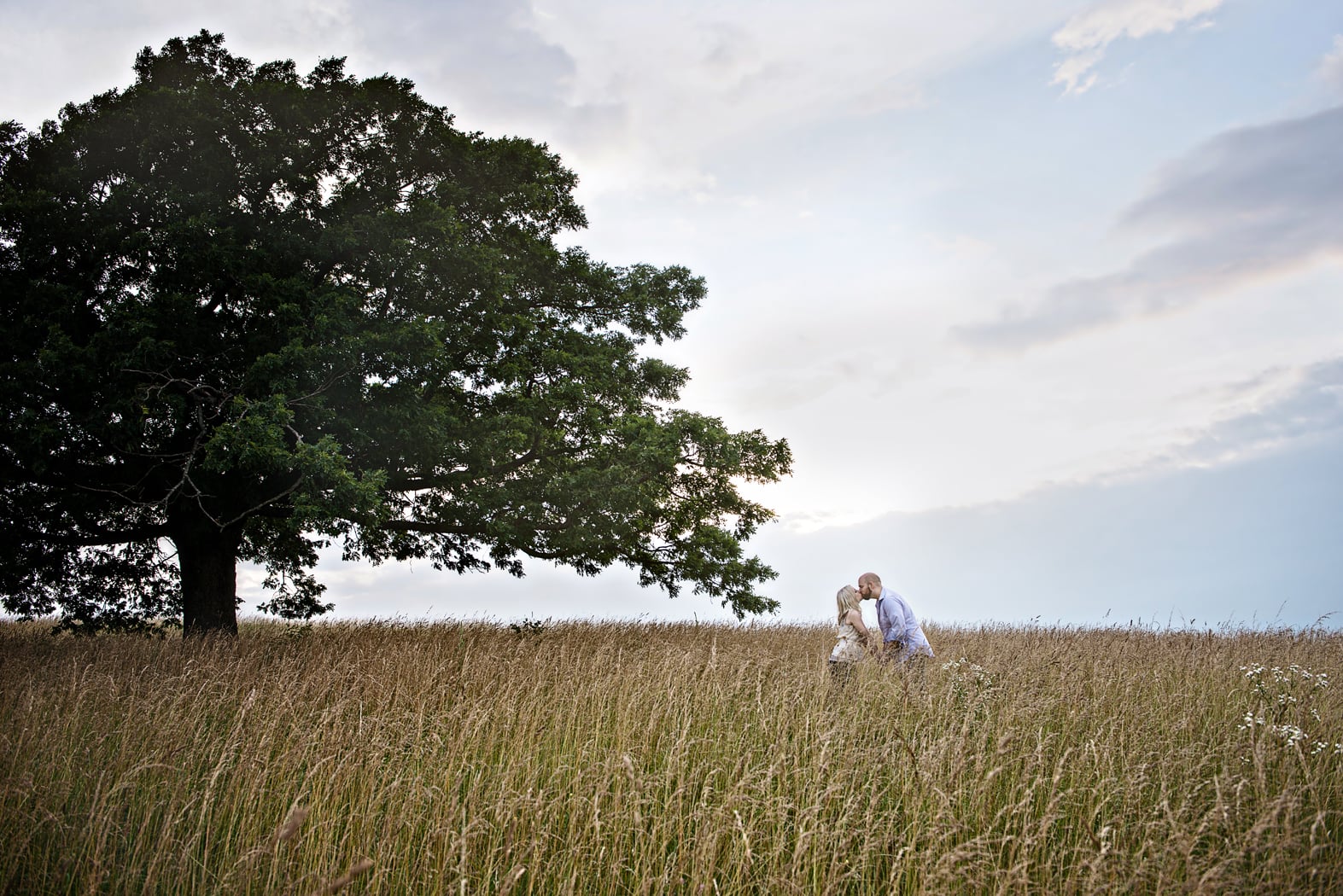 couple kissing in a deep grassy meadow near an old tree