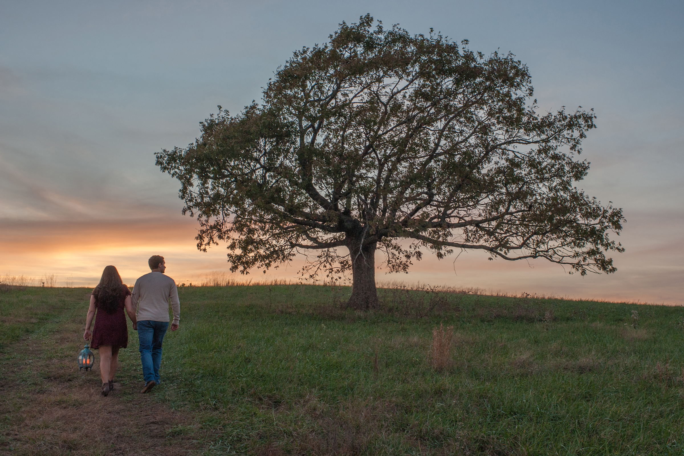 Couple walks toward sunset near a big tree