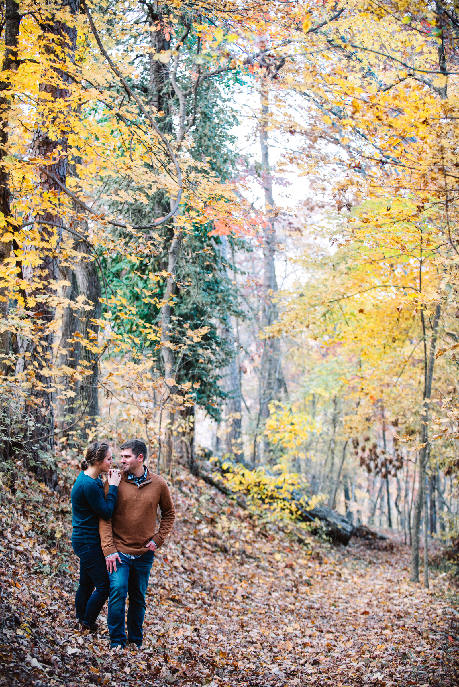 Engagement couple in fall colored woods