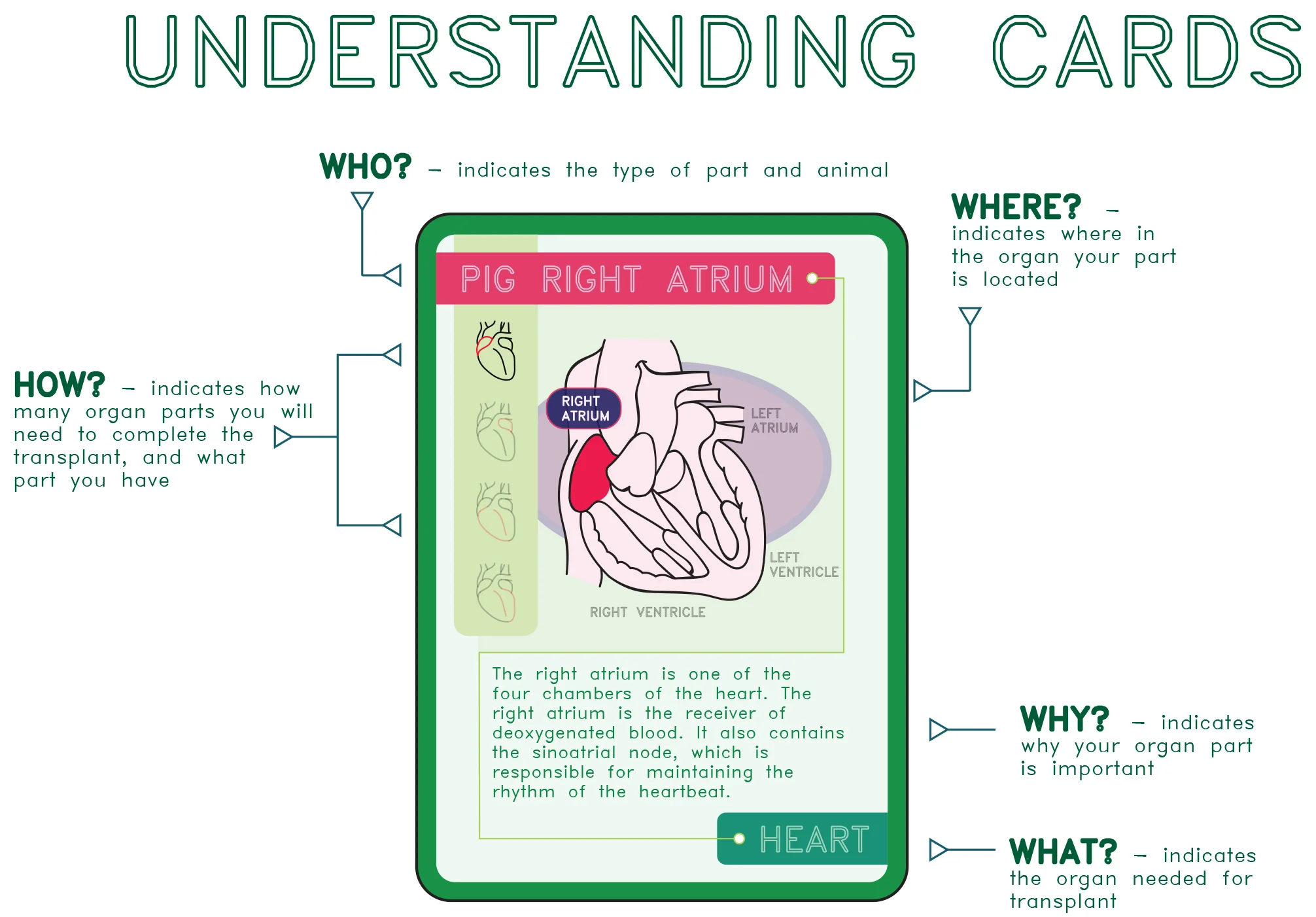 Understanding Cards.jpg