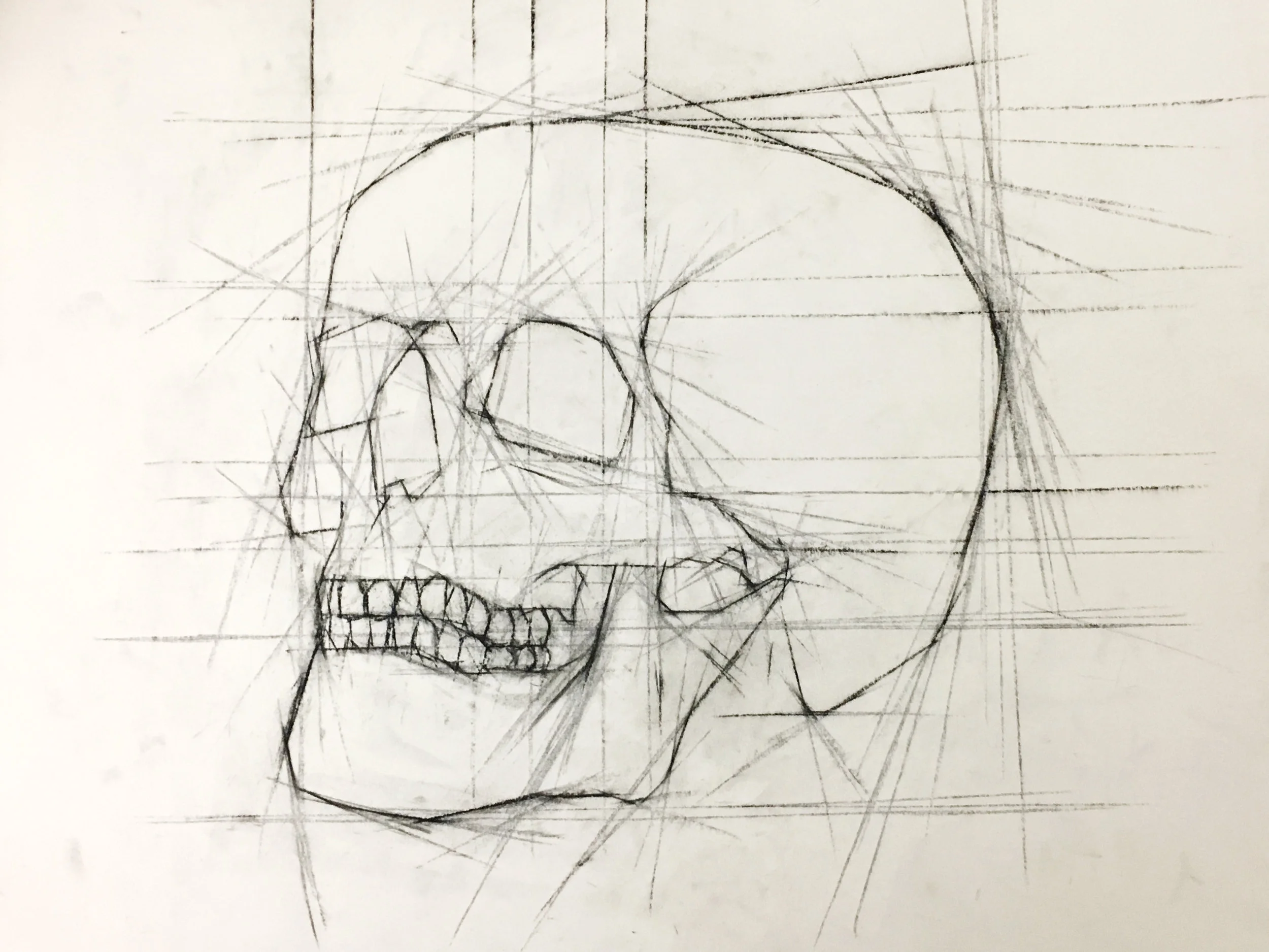 Skulls 2.jpg