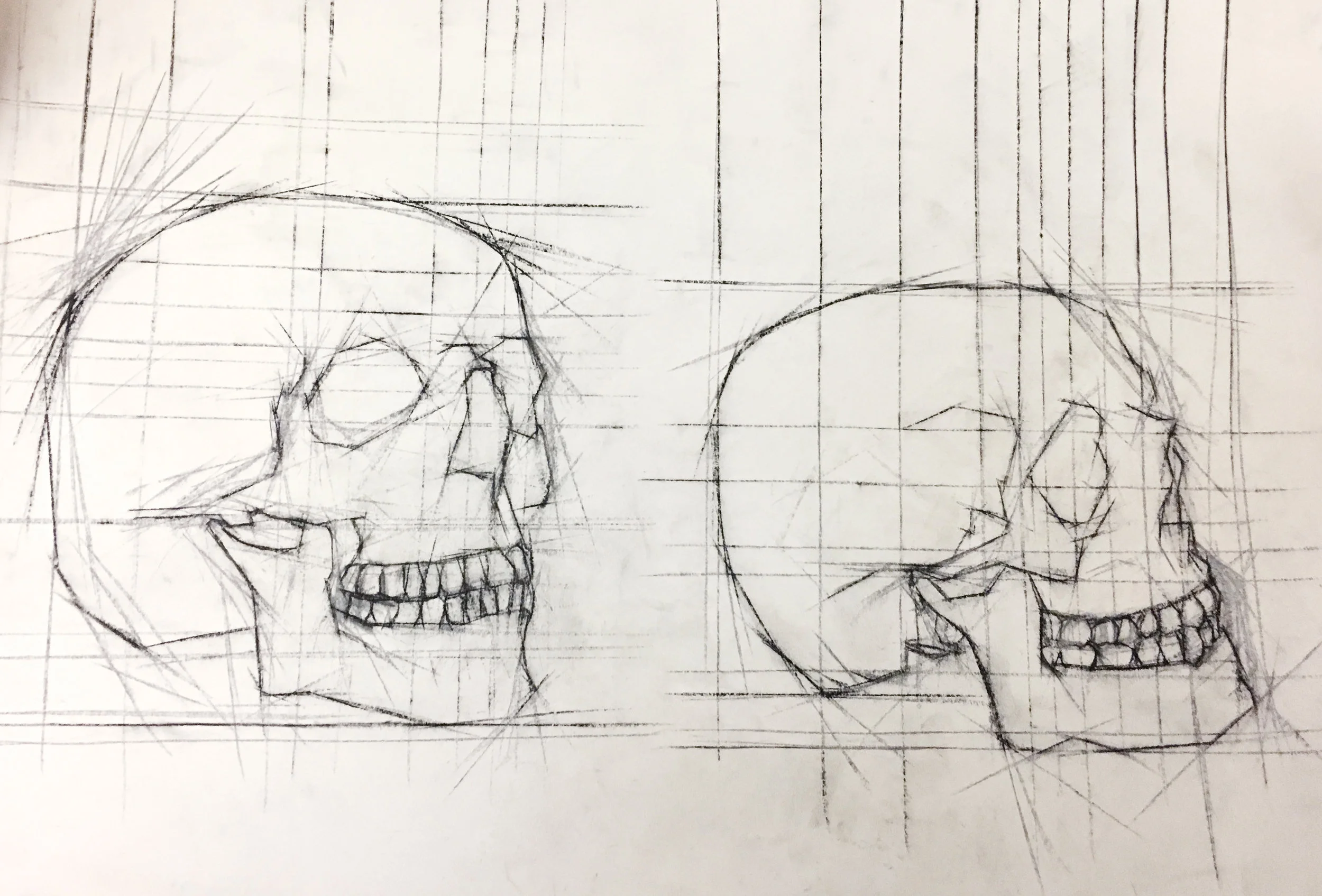 Skulls 3.jpg