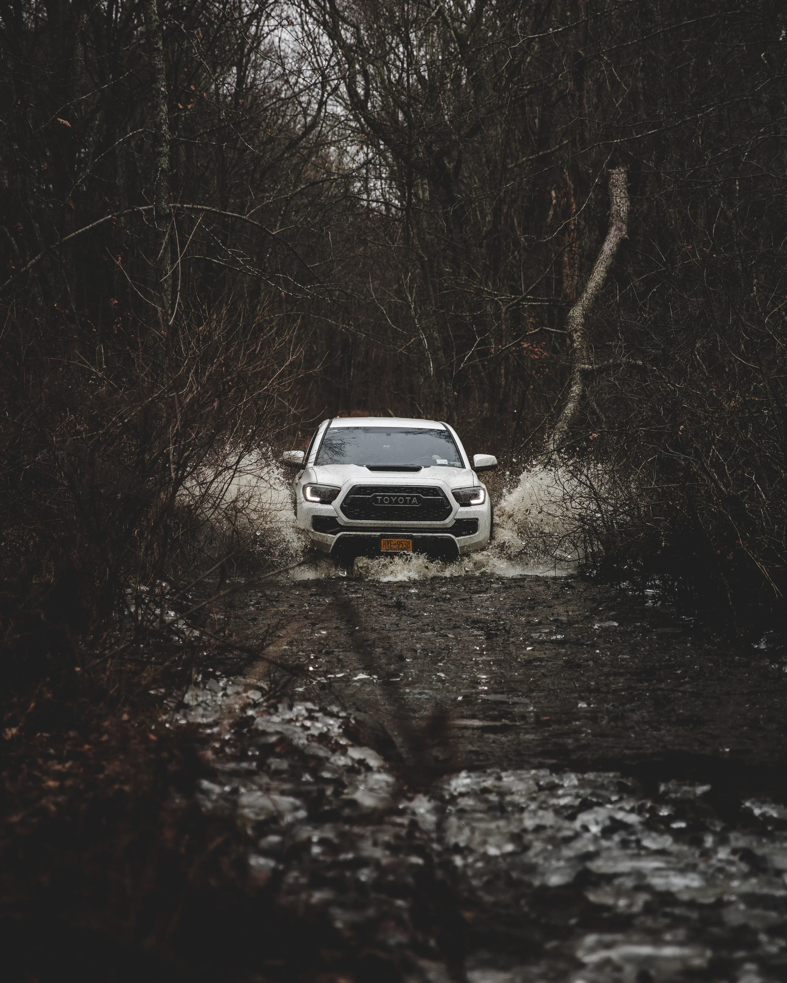 Pachaug State Forest · CT