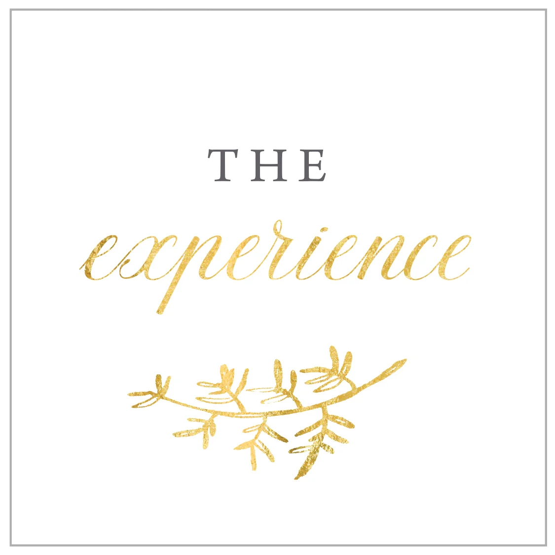 experience.jpg