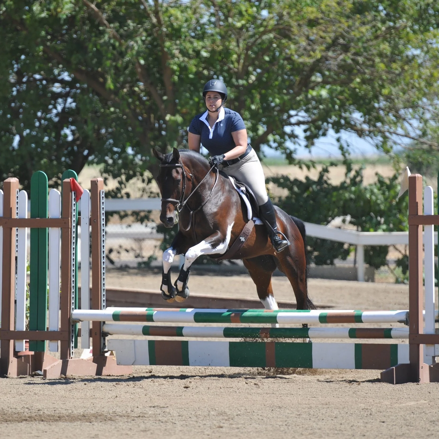 Janelle's drive and dedication to our sport is uplifting to everyone around her. She is not only a great rider but a wonderful horsewoman, spending as much time as she can caring for her horse "Sophia." Janelle and Sophia began their jumping career when joining Pyramid in 2015, and compete in the Hunter and Equitation rings. With much success in just the last year, we see many victories in their future in the Jumper ring also. Janelle makes everyones life run smoother at Pyramid through scheduling and organization.