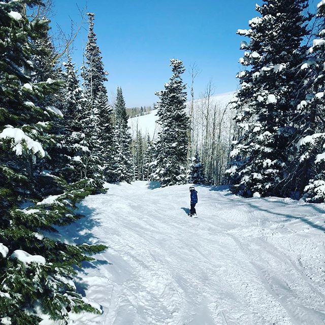 So long Park City, thanks for the detonator!
#gullyskate #gullysurf #findyourfreedom