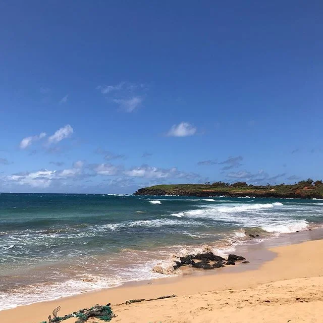 Aloha from Kauai
.
.
#gullysurf #gullyskate #findyourfreedom