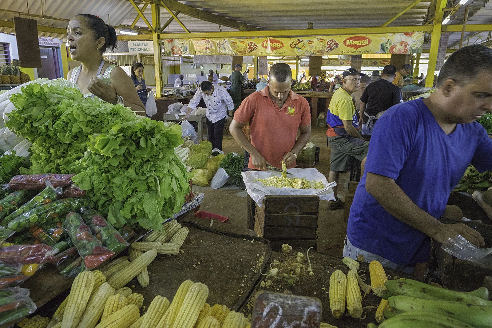 Market Corn copy.jpg