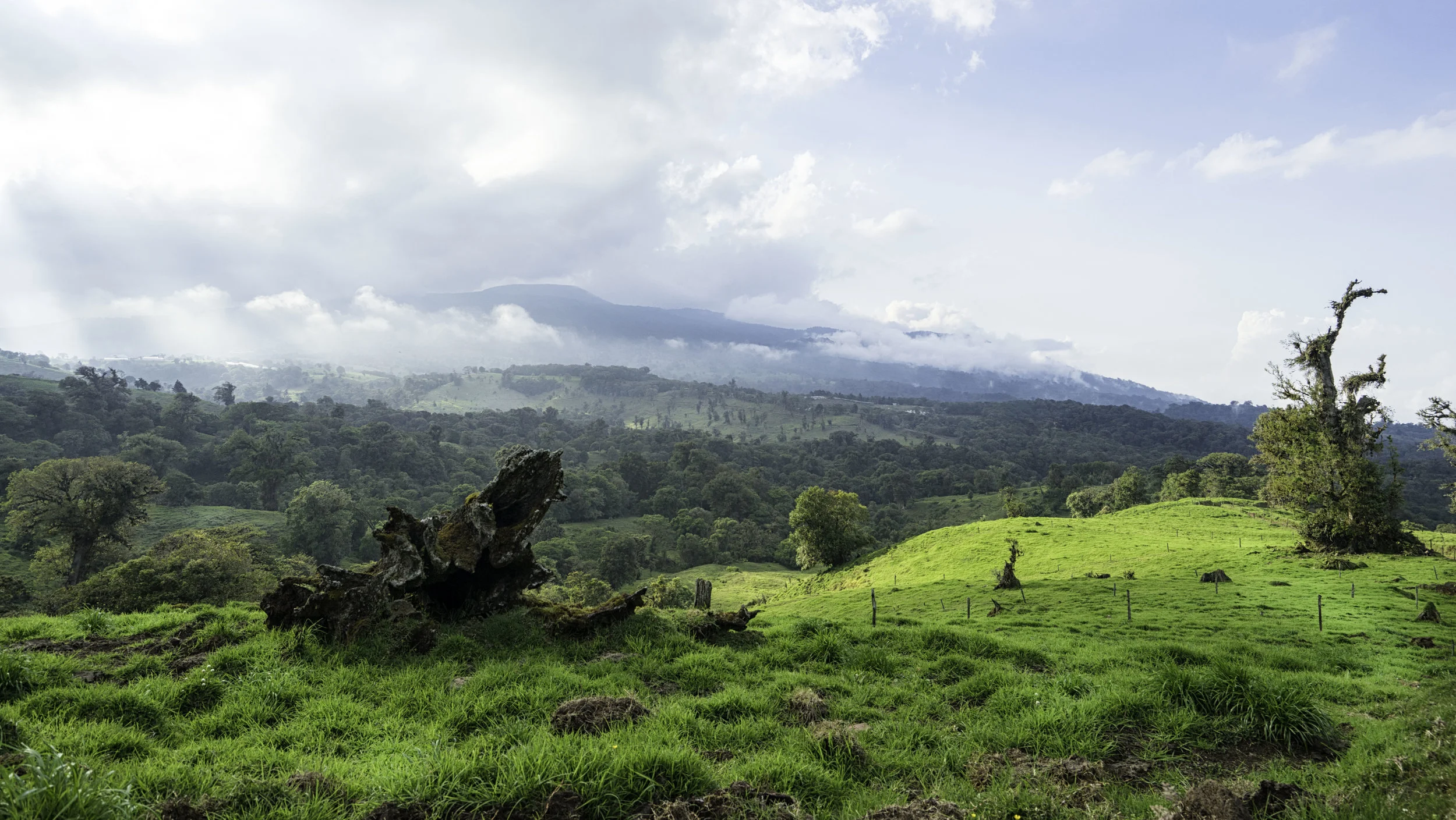 Poas Meadow.jpg