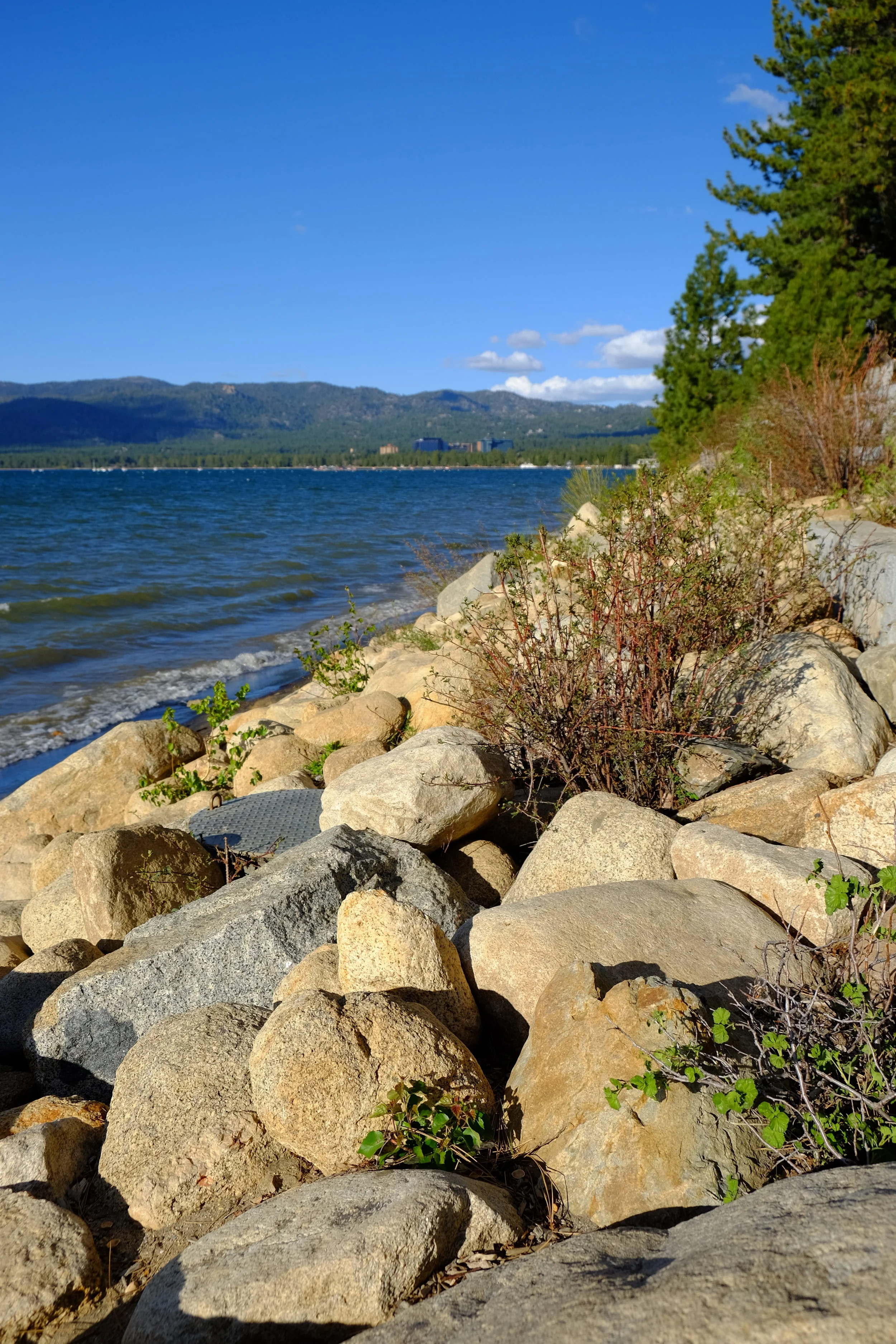 DSCF0632.JPG