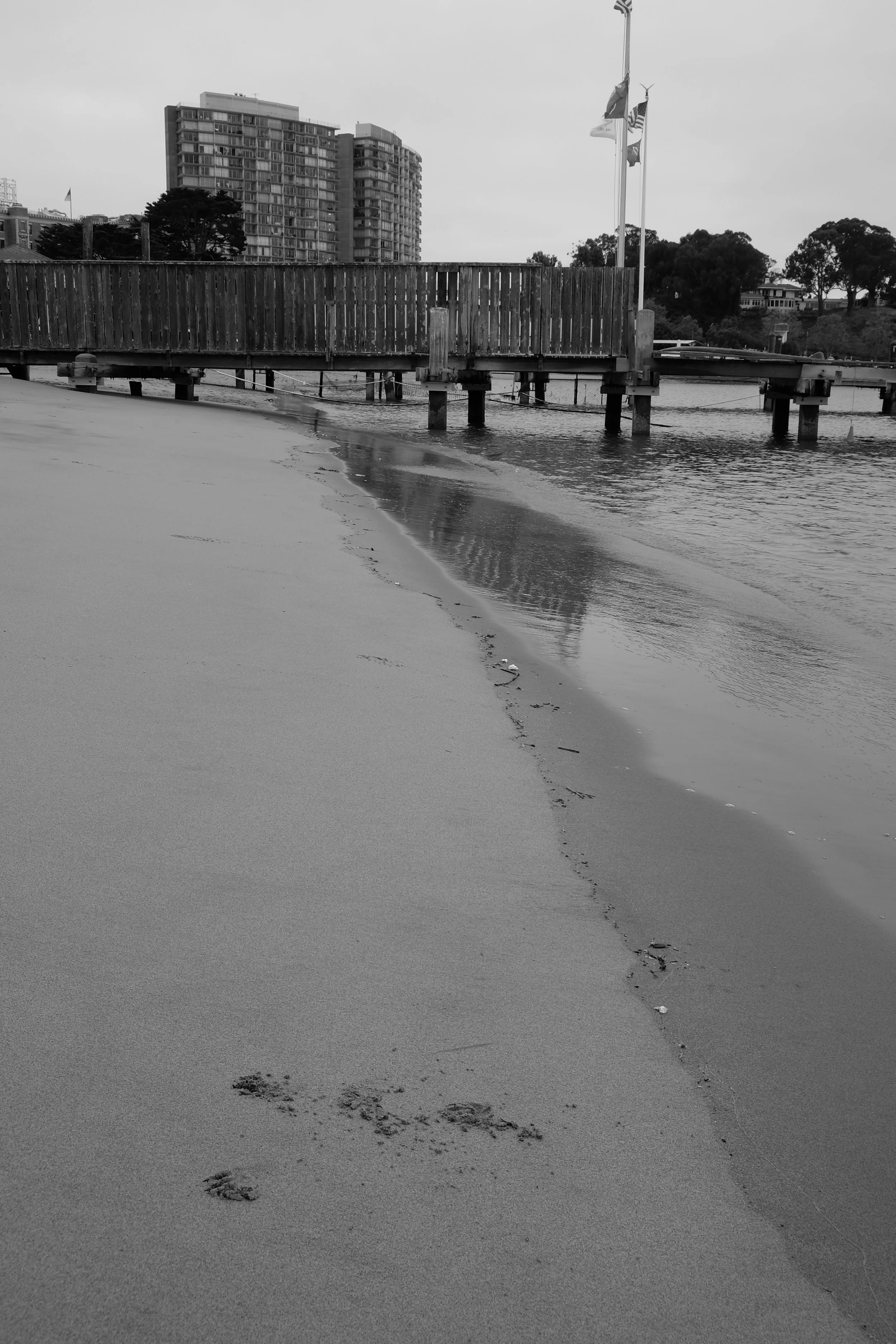 DSCF0933.JPG
