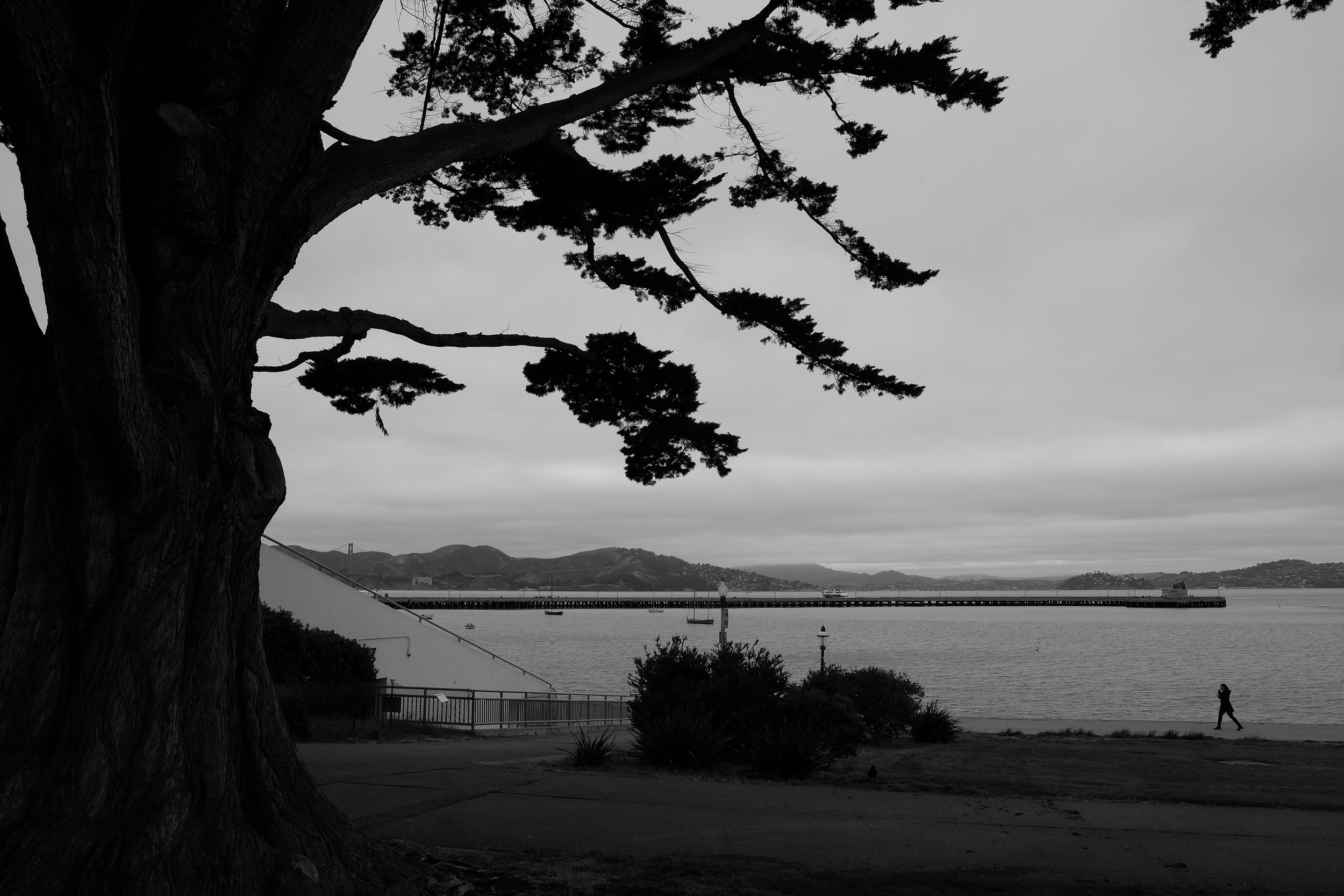 DSCF0942.JPG
