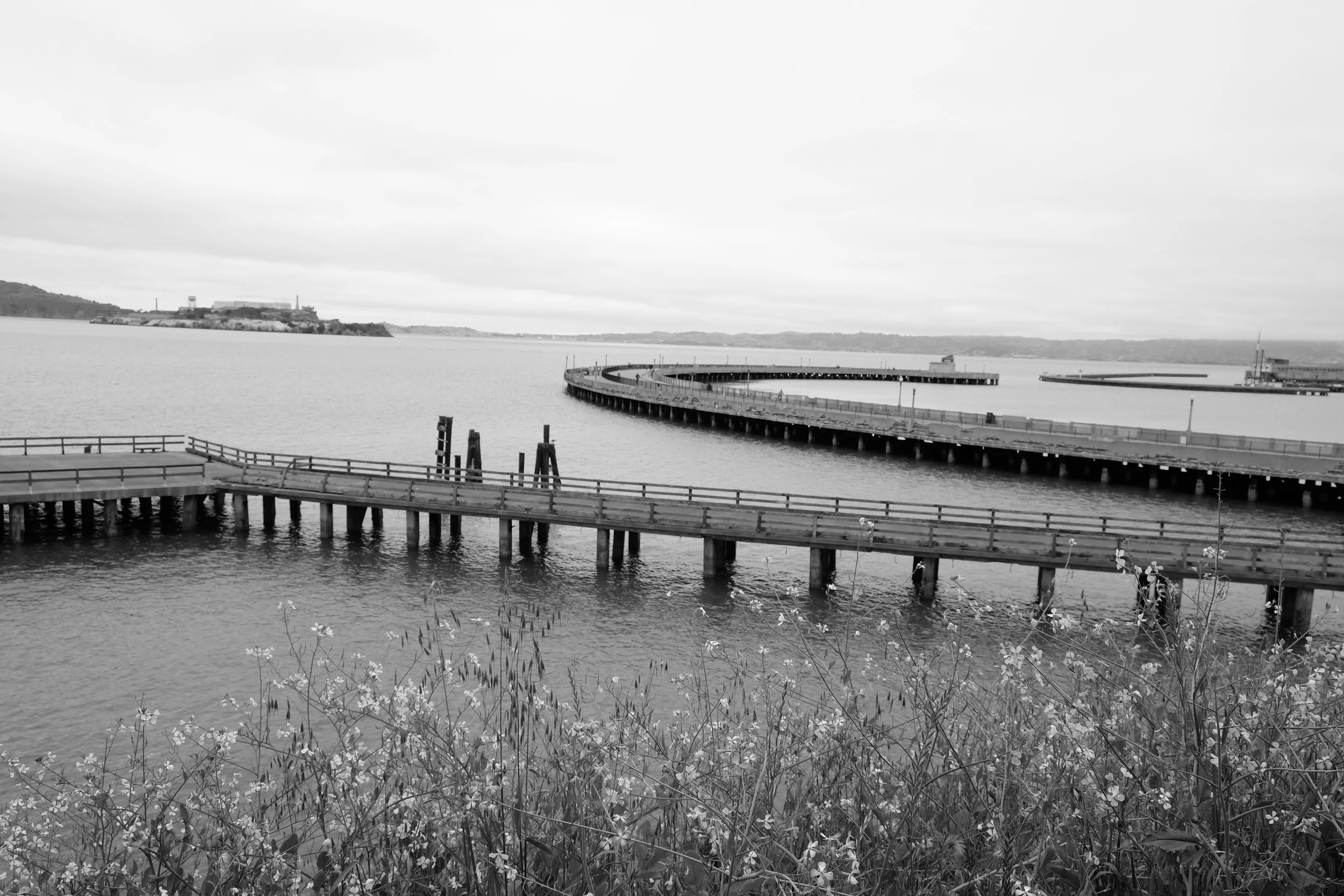 DSCF0945.JPG