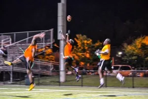 1979554_561844758159_183836099935625825_n-300x200.jpg