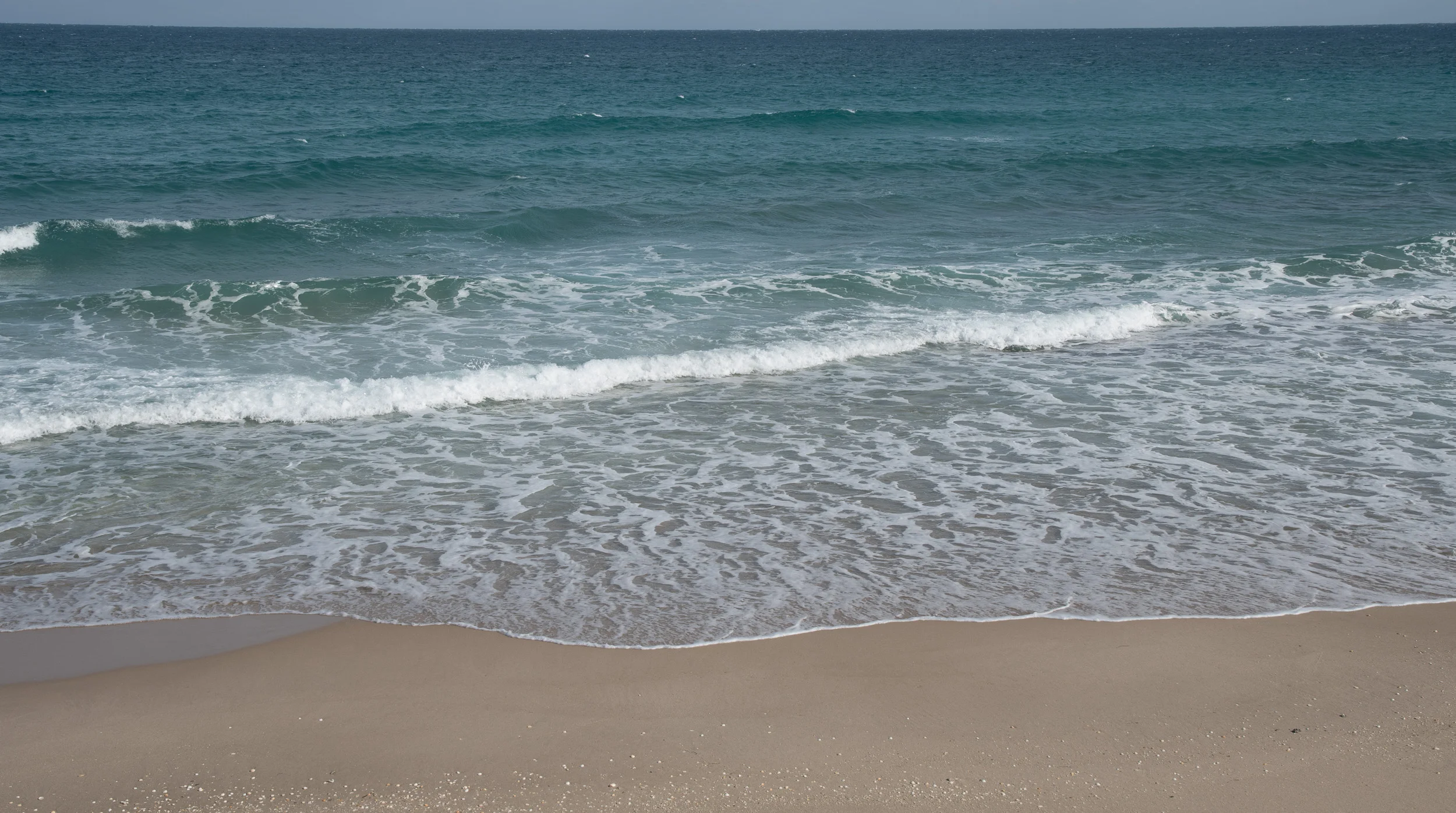 DSC_0155.jpg