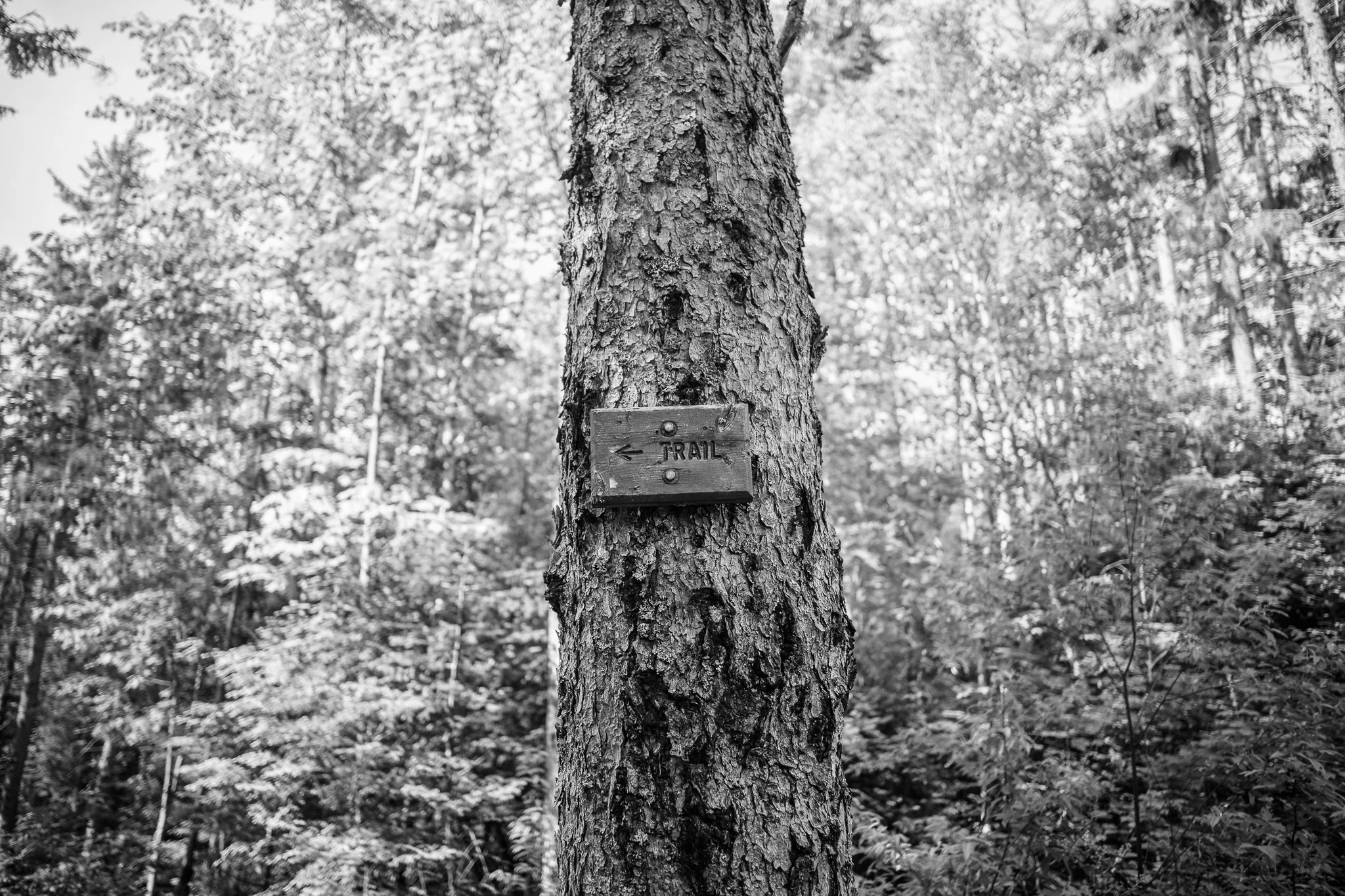 Black Cap Mountain New Hampshire
