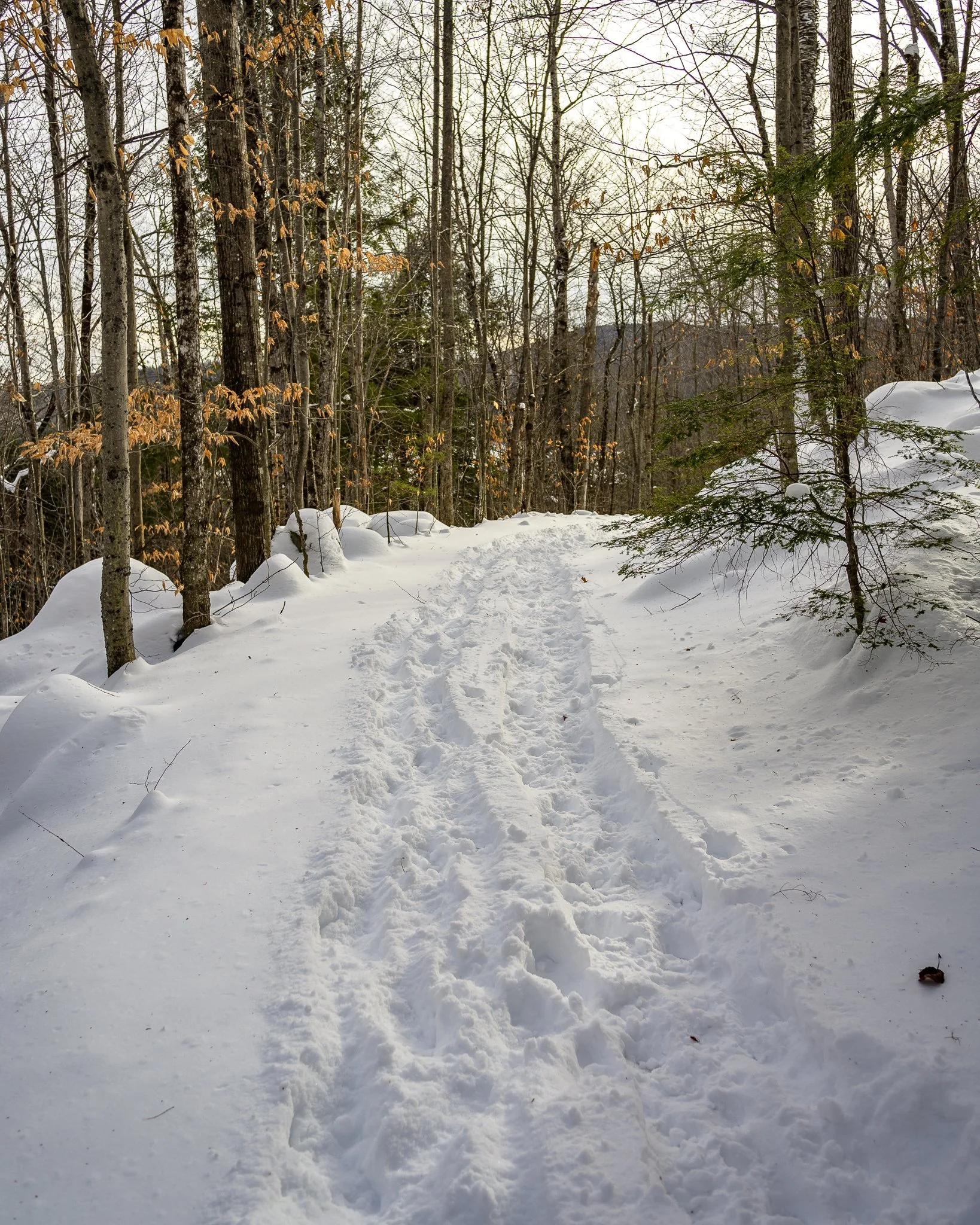 Maine Snow Adventures
