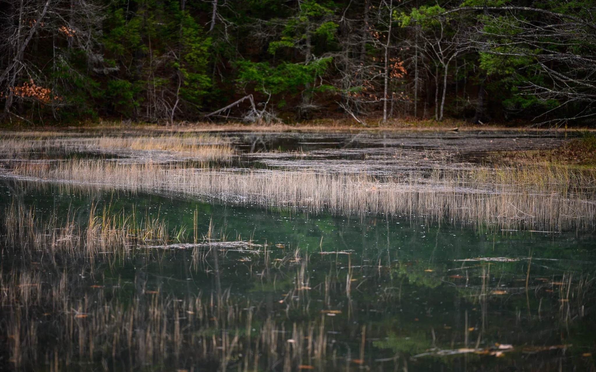Freeport Maine