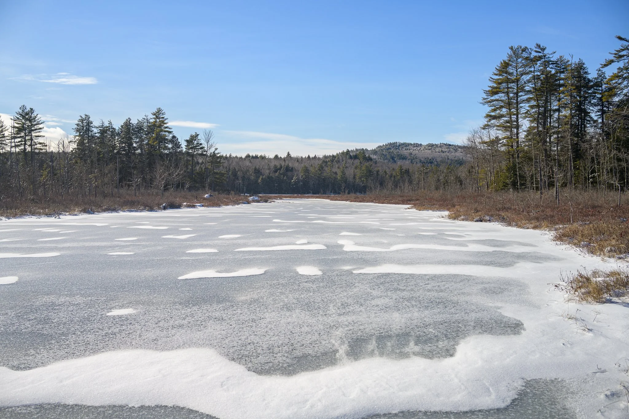 Holt Pond Preserve - Winter Edition