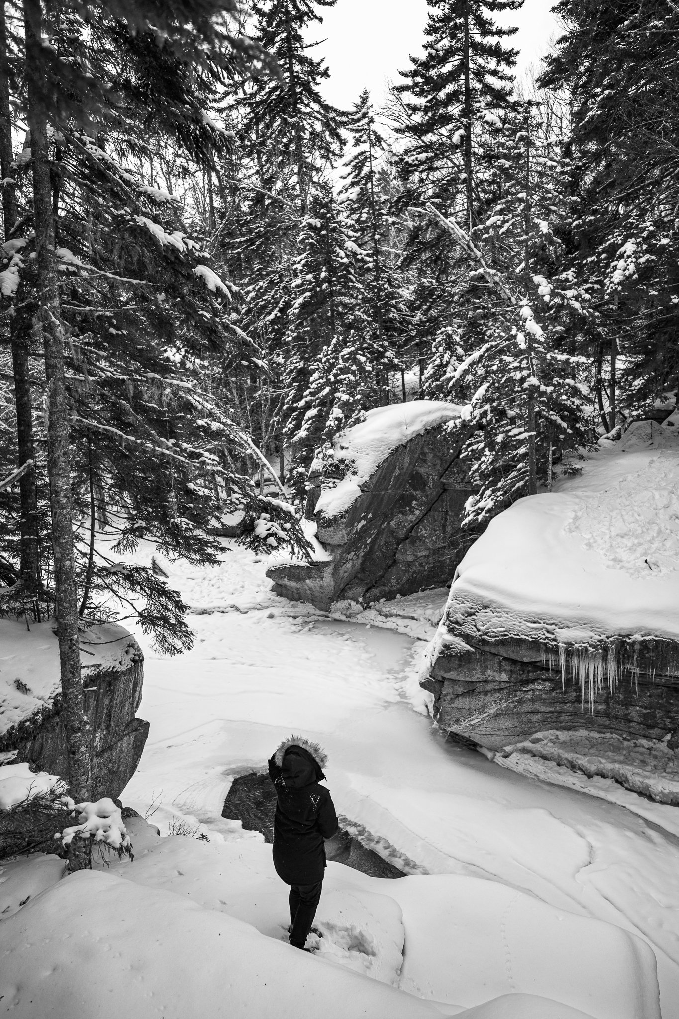 Recent Adventures - White Mountains New Hampshire