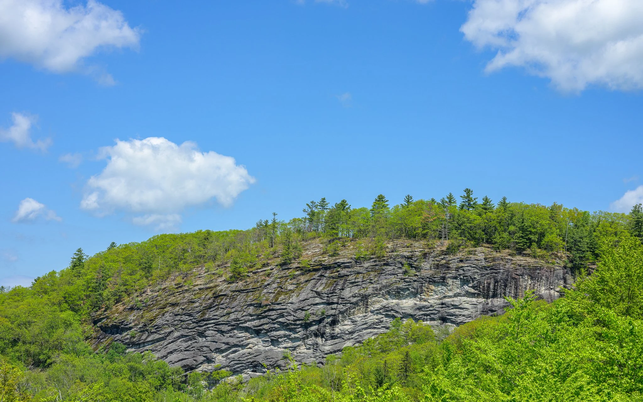 Bucks Ledge - Woodstock Maine