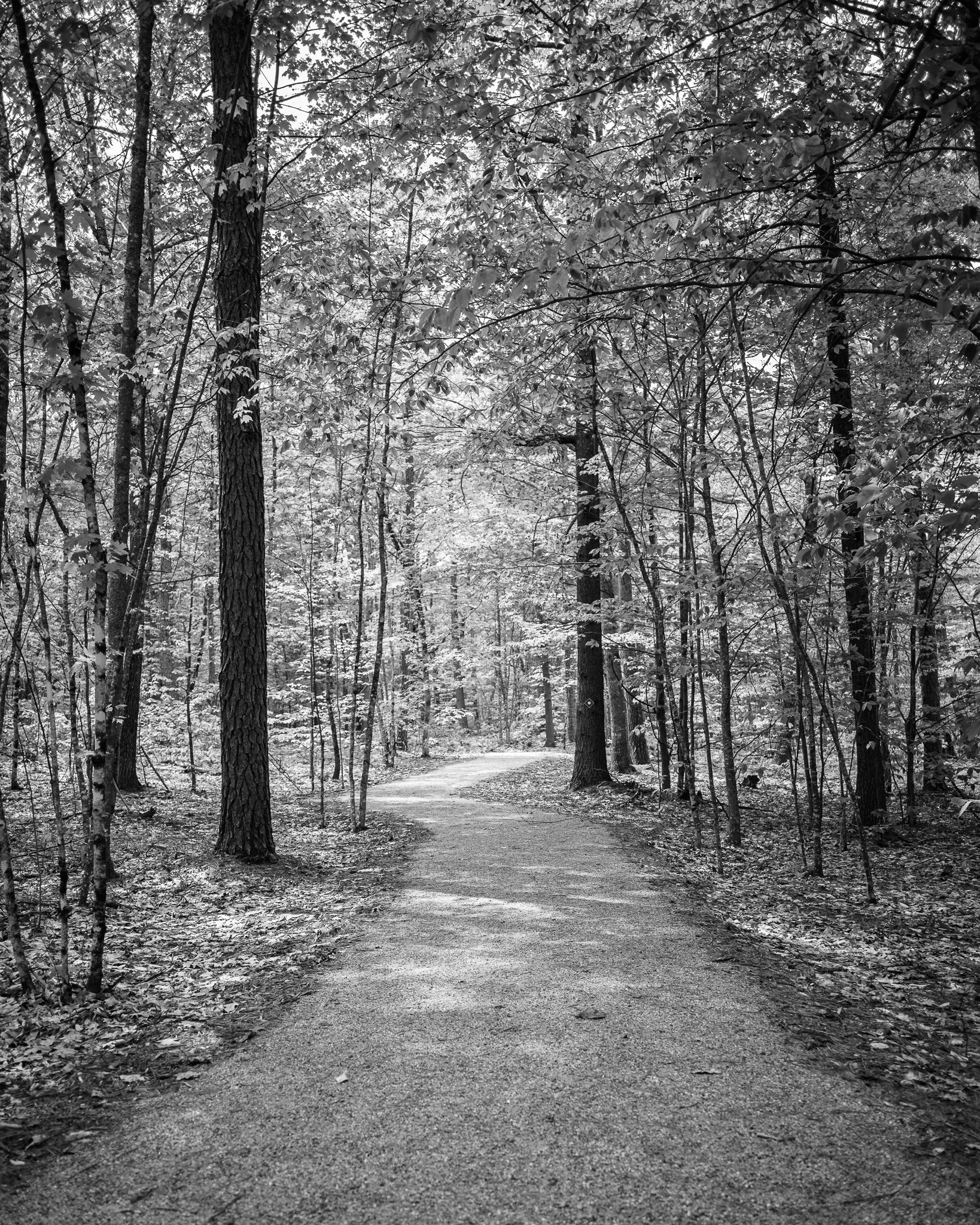 Mayberry Hill Preserve