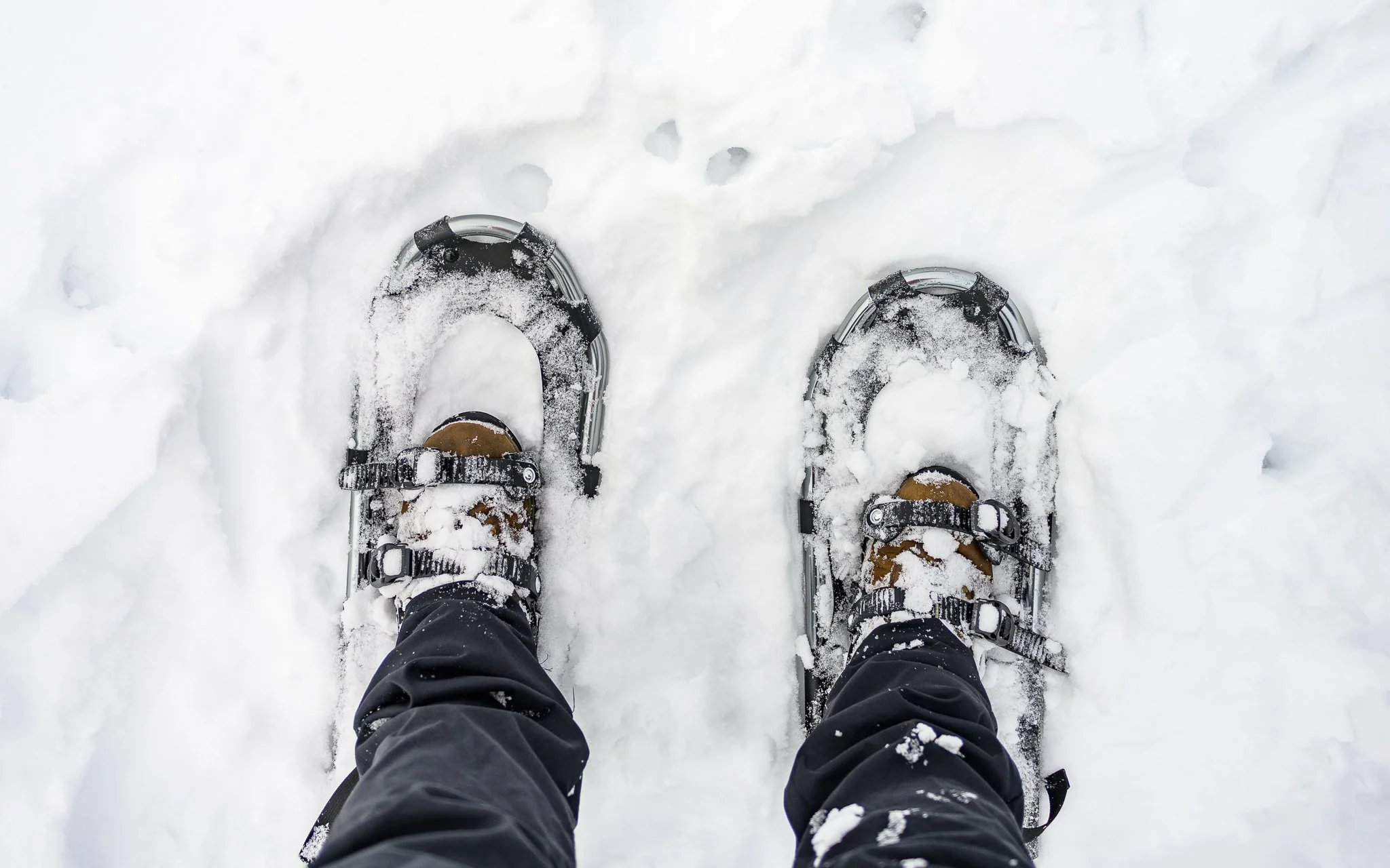 Snow Shoes Maine