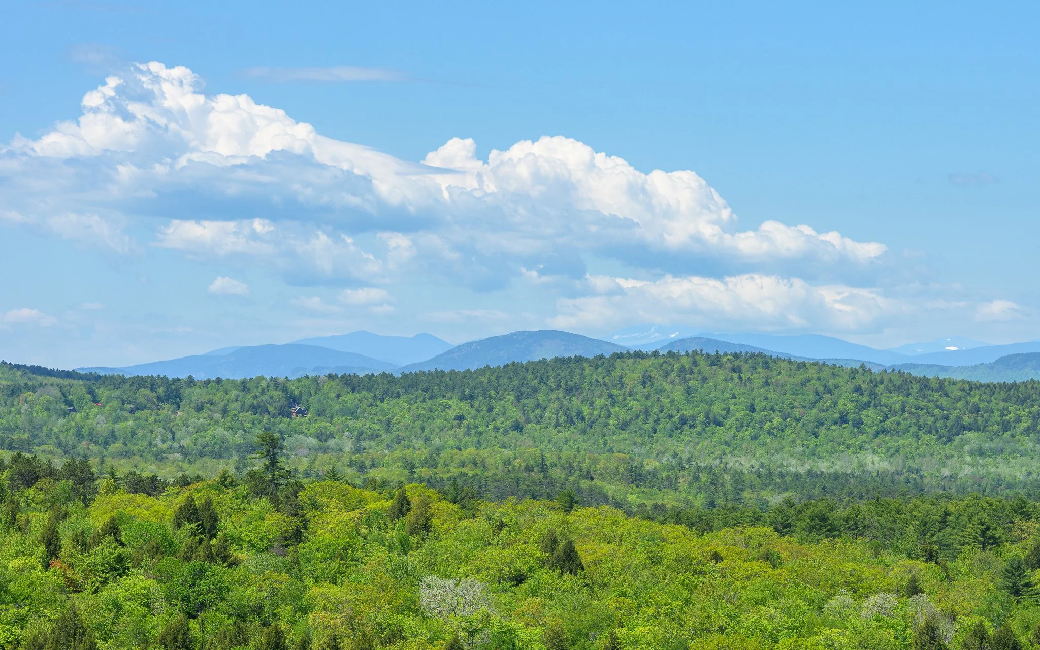 View From Bucks Ledge Woodstock Maine