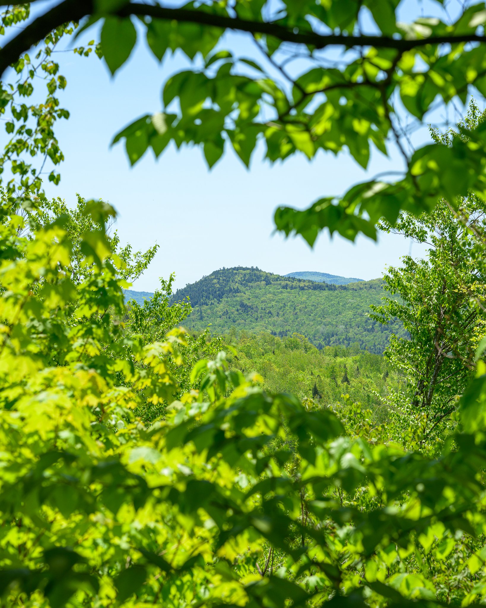 Bucks Ledge Woodstock Maine