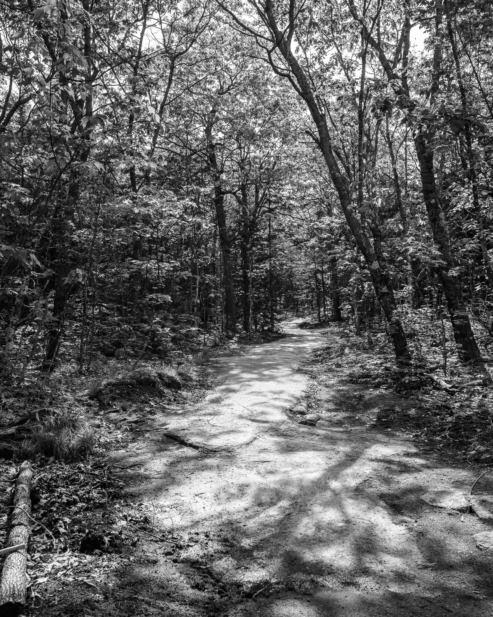 Black Cap Mountain New Hampshire