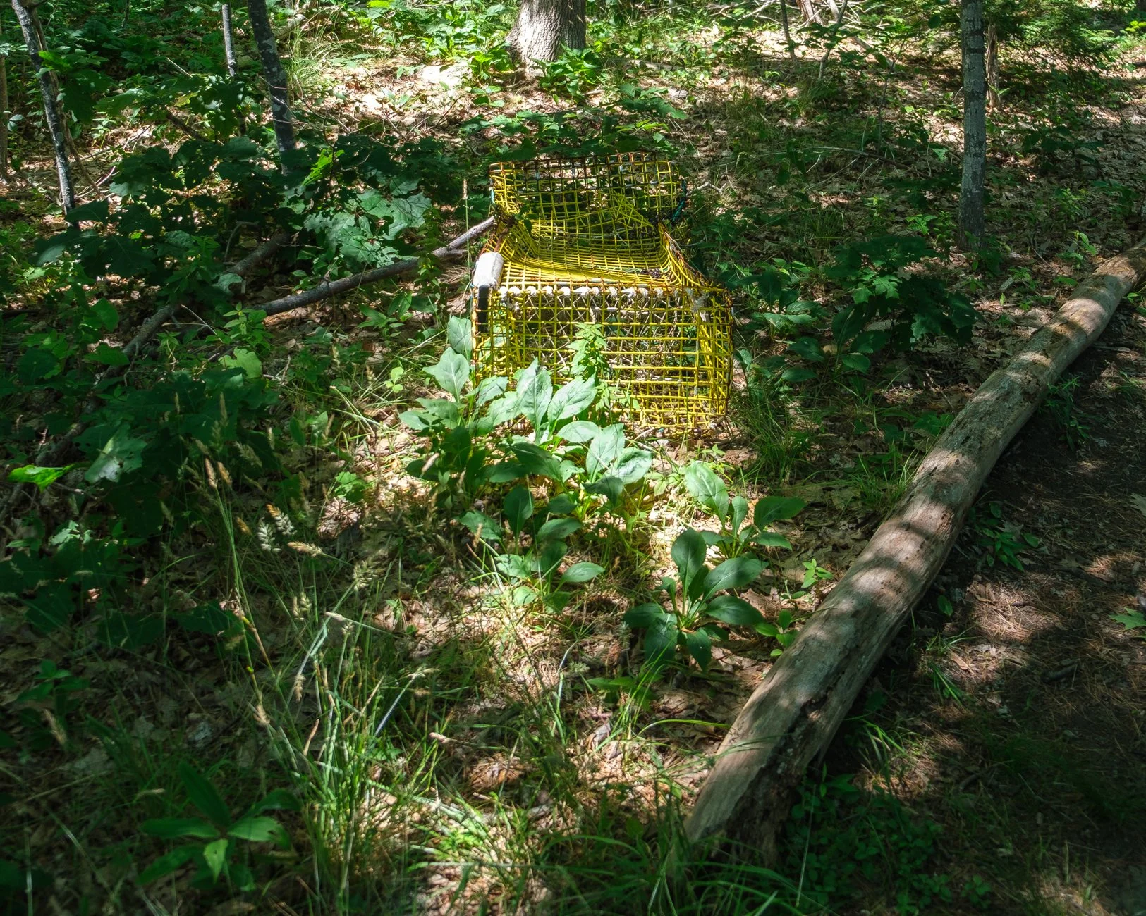 Lobster Trap Cape Elizabeth Maine