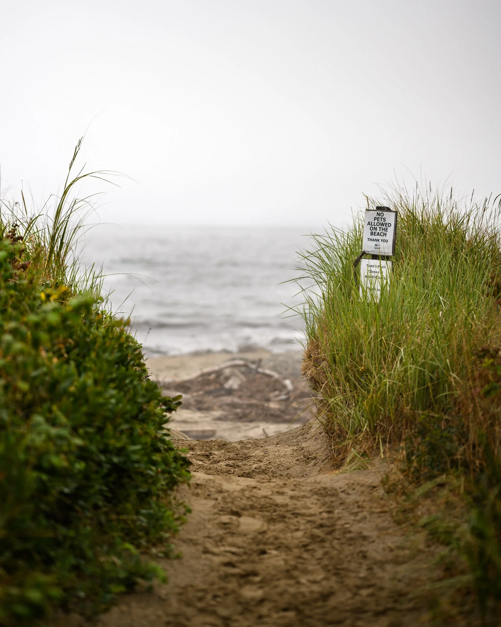 Maine Documentary Photography