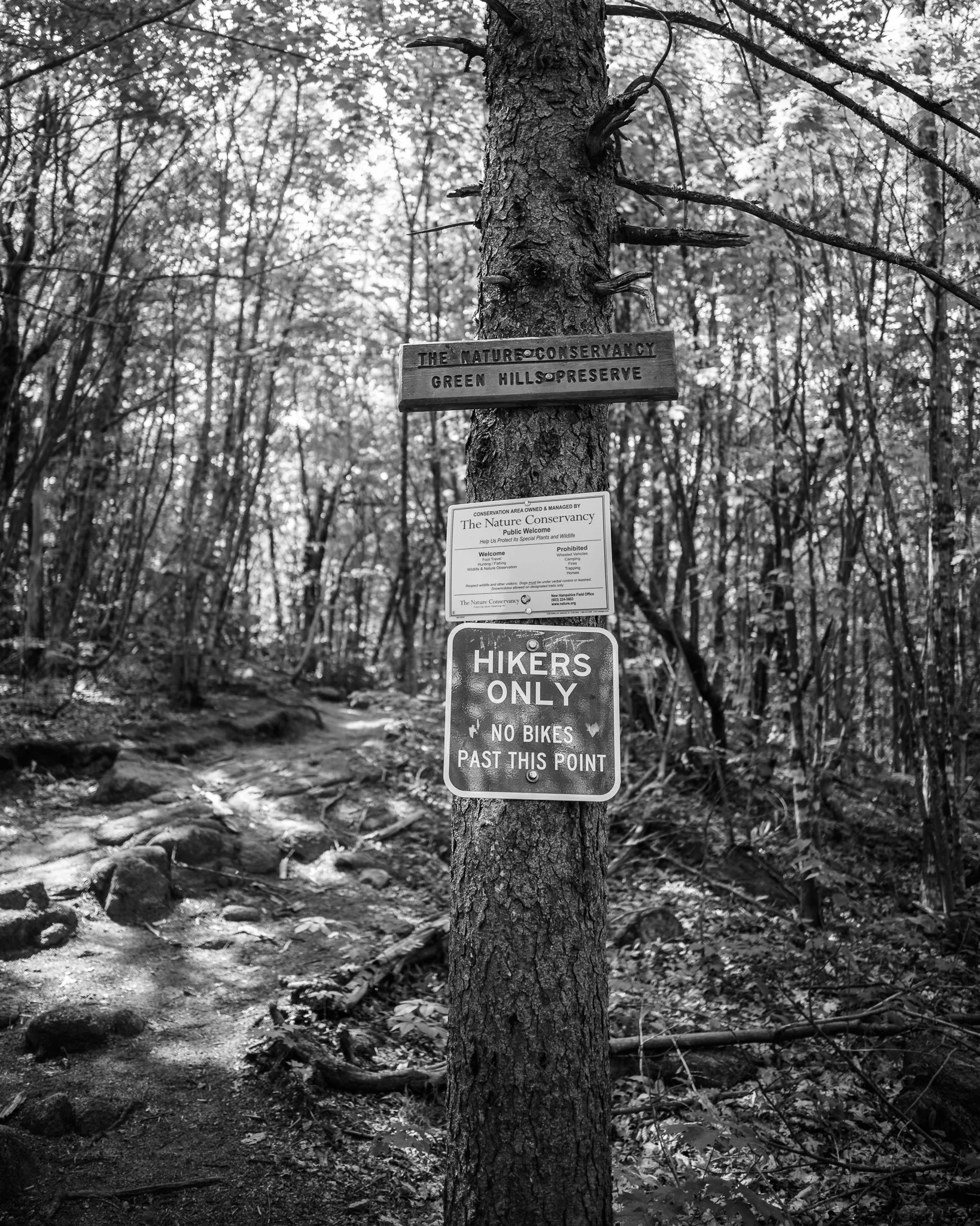 Green Hills Preserve