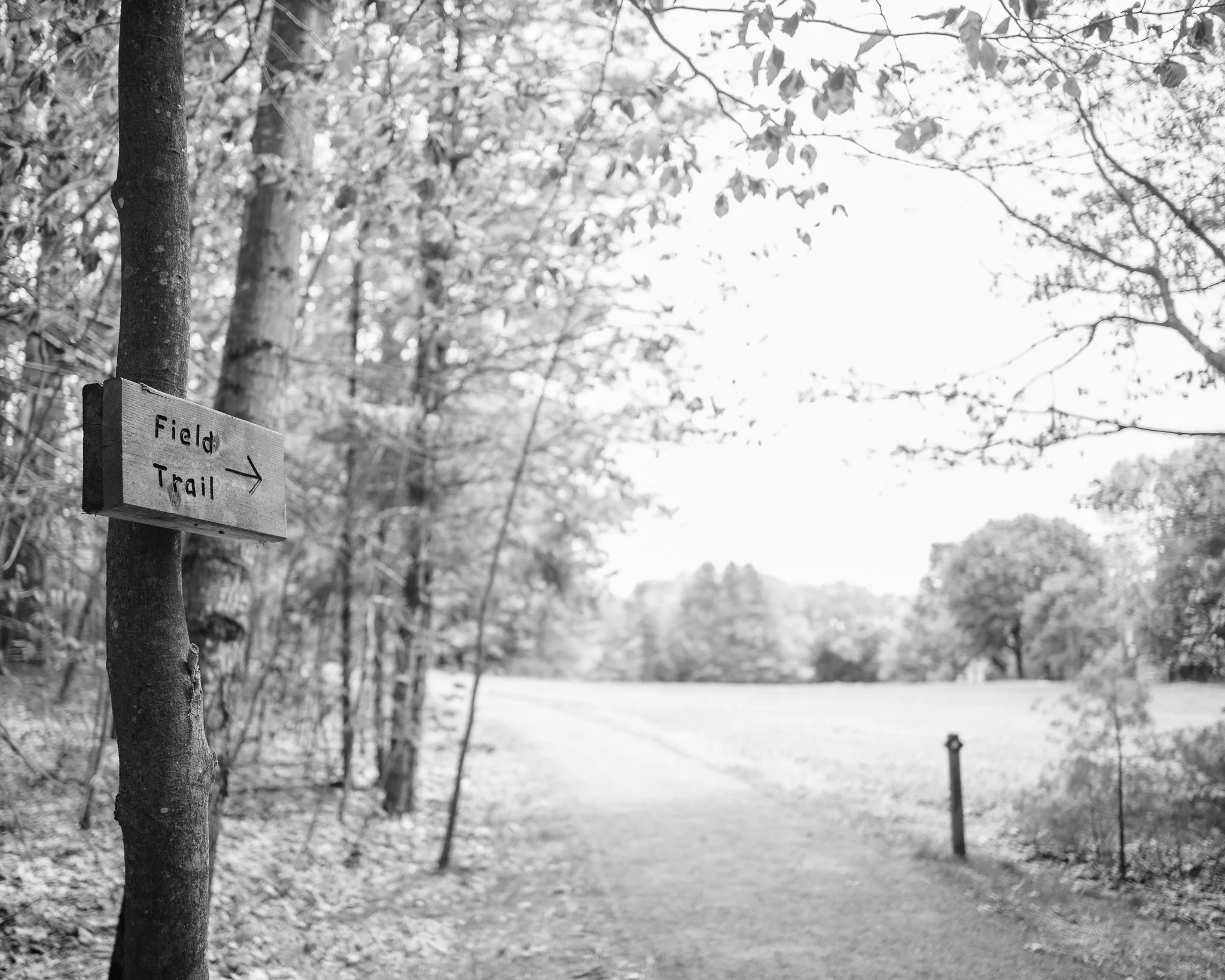 Mayberry Hill Preserve