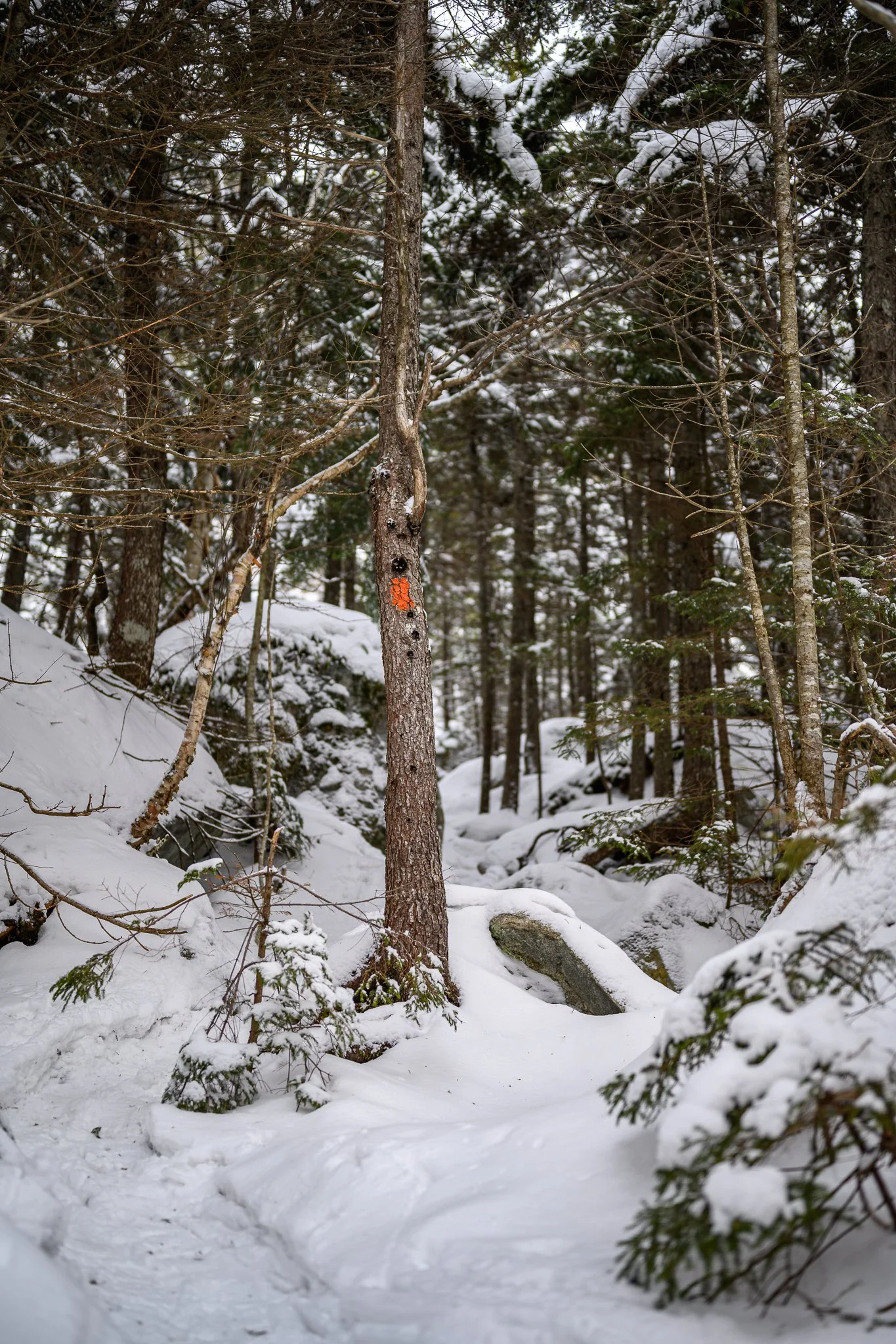 Hiking Table Rock Grafton Notch