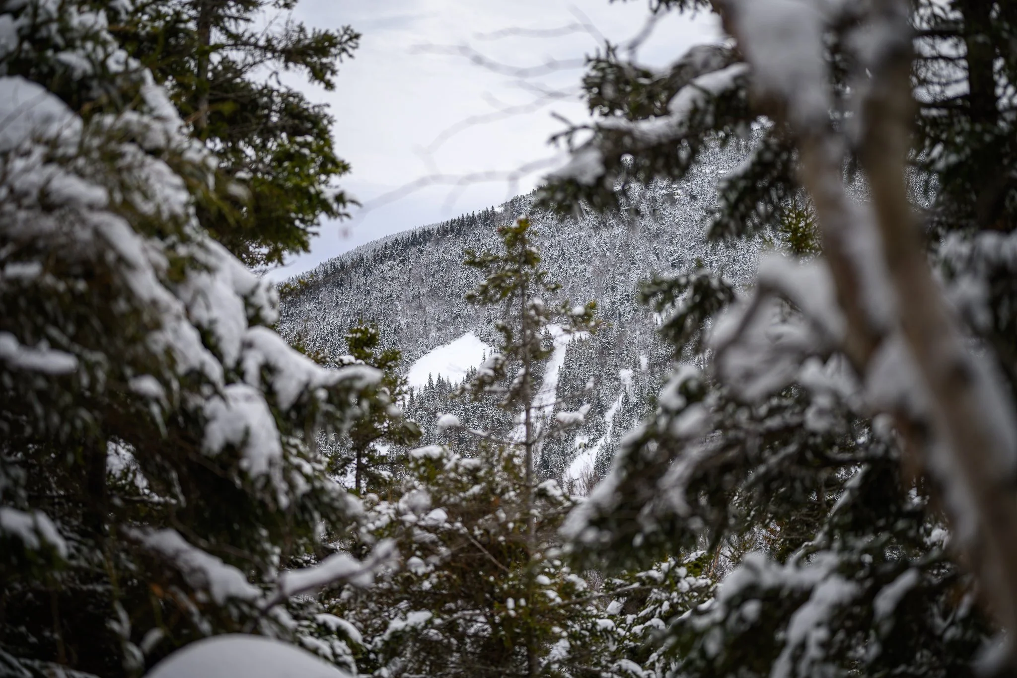 Hiking Table Rock Grafton Notch