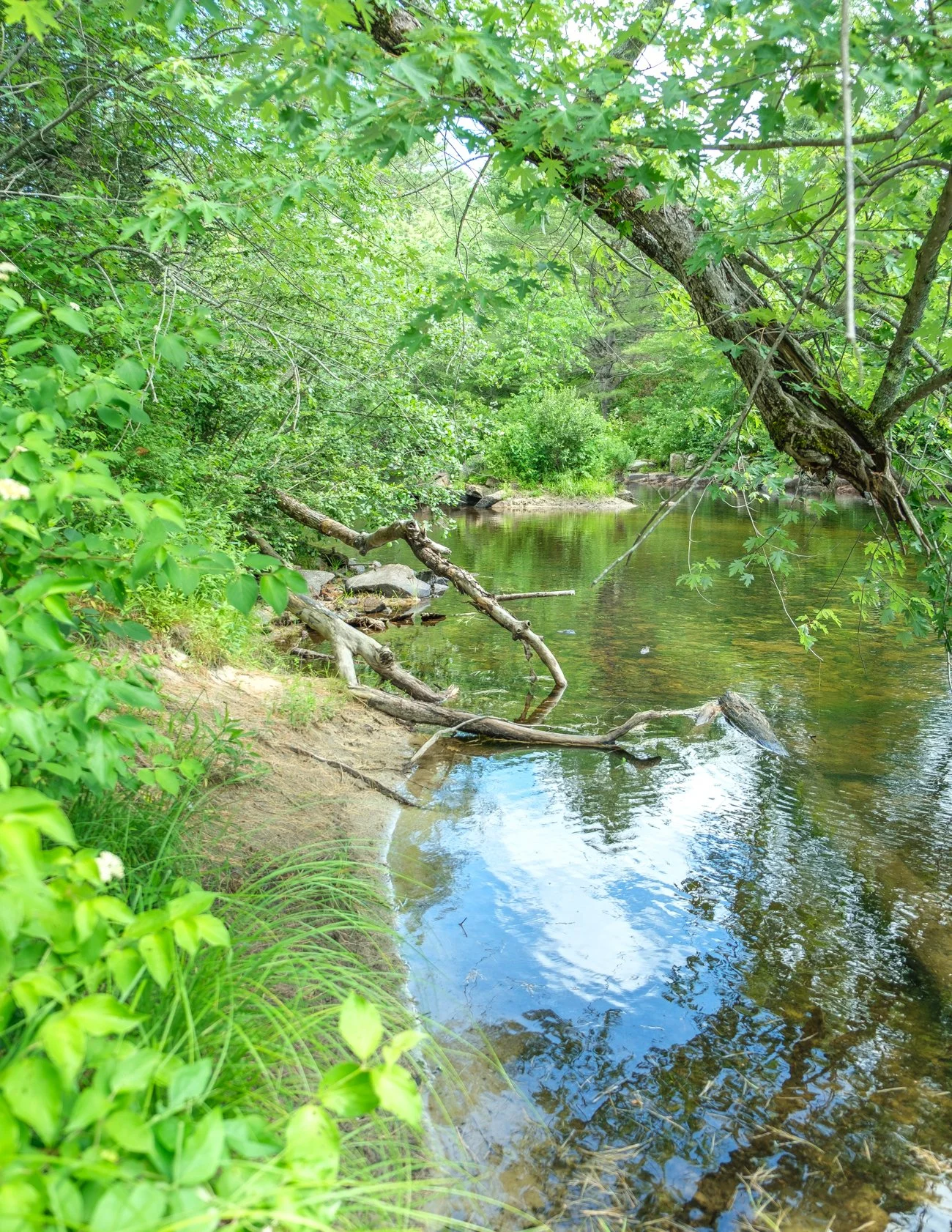 Edes Falls Naples Maine