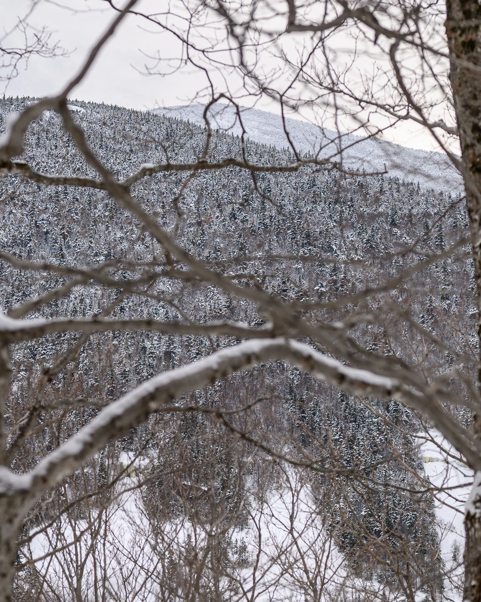 Hiking Table Rock Grafton Notch
