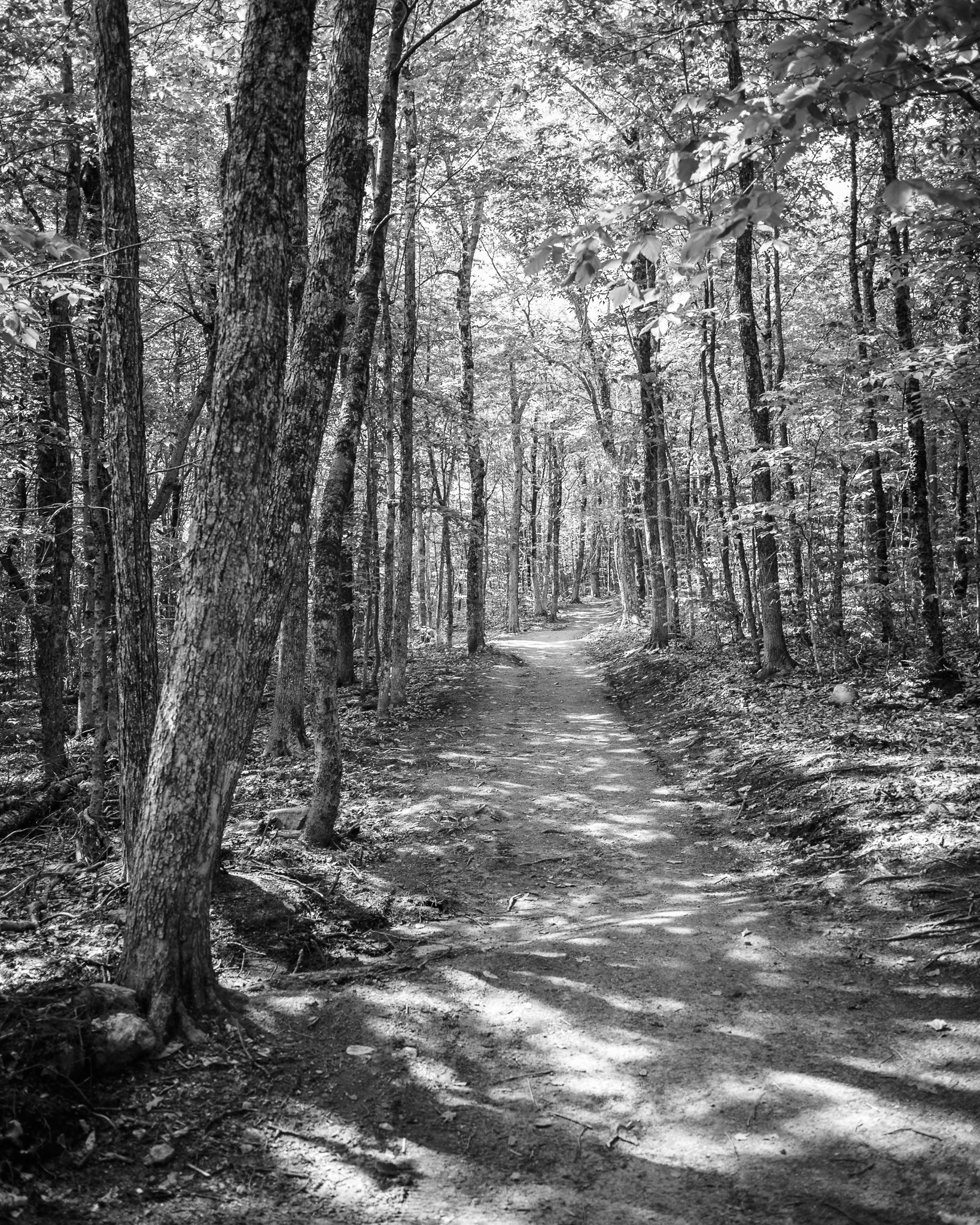 Black Cap Mountain New Hampshire