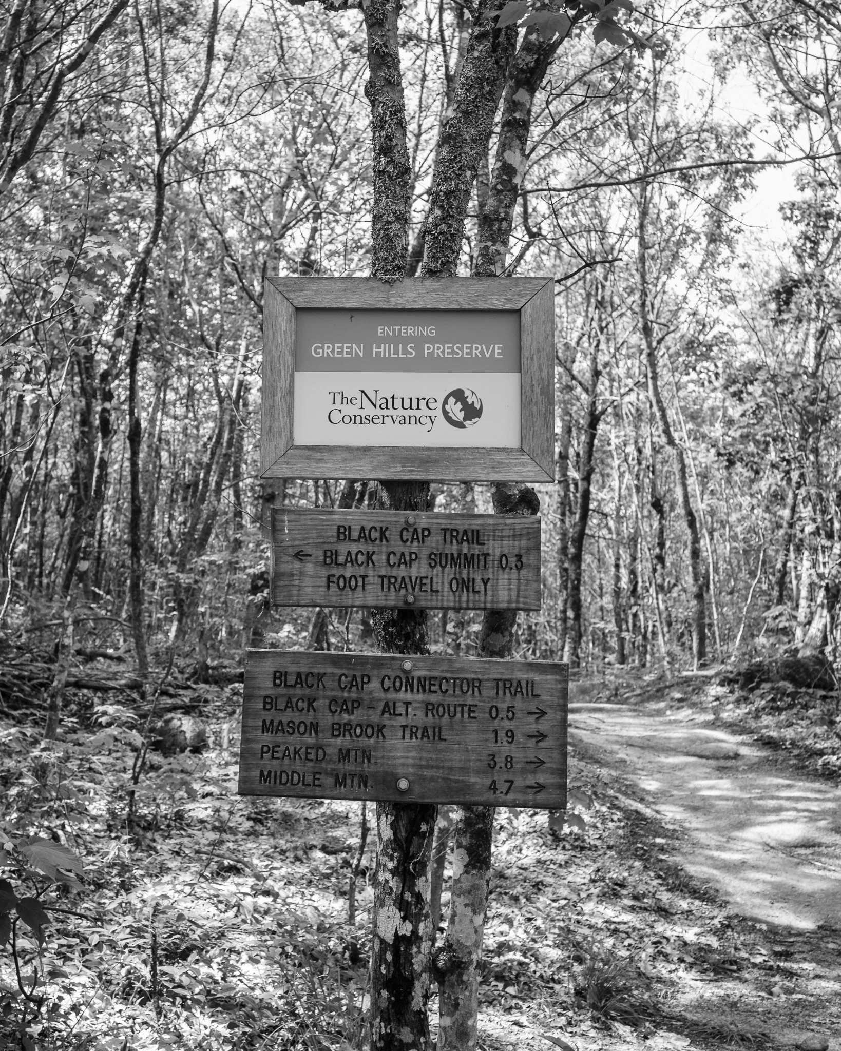 Black Cap Mountain New Hampshire