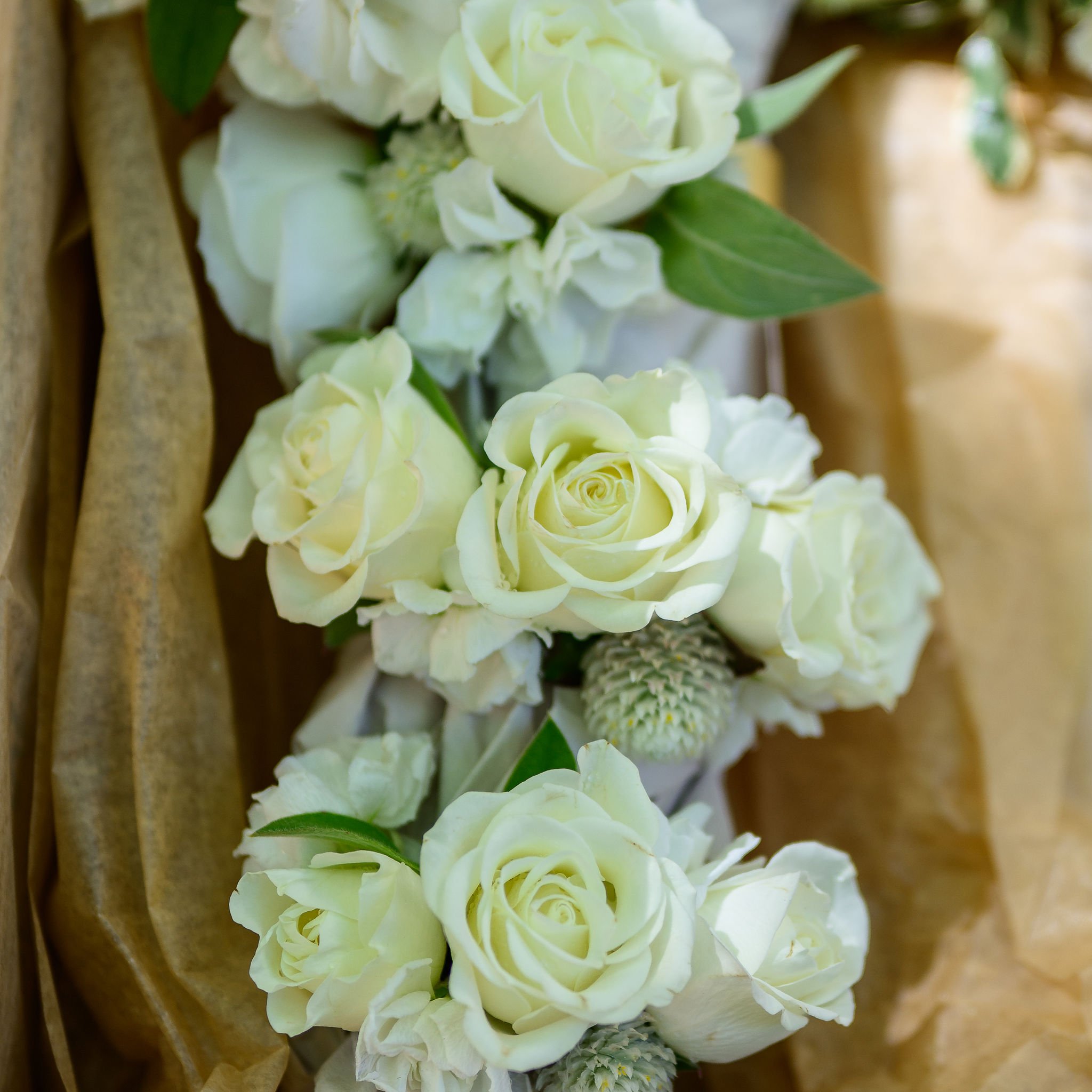 Maine Wedding Photography