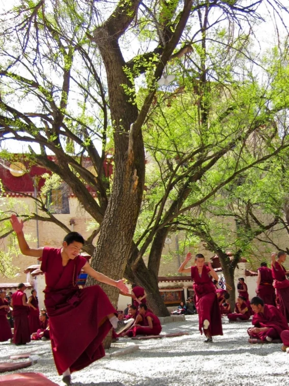 Monks Debating, Lhasa