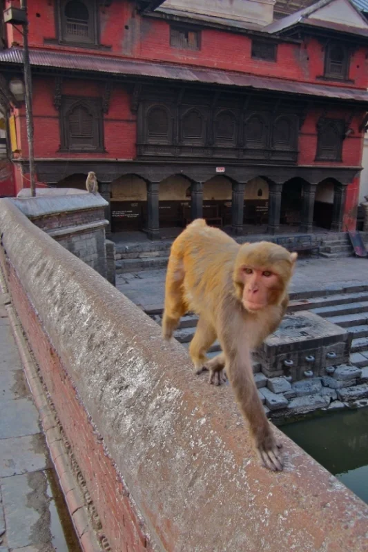 Kathmandu, Nepal