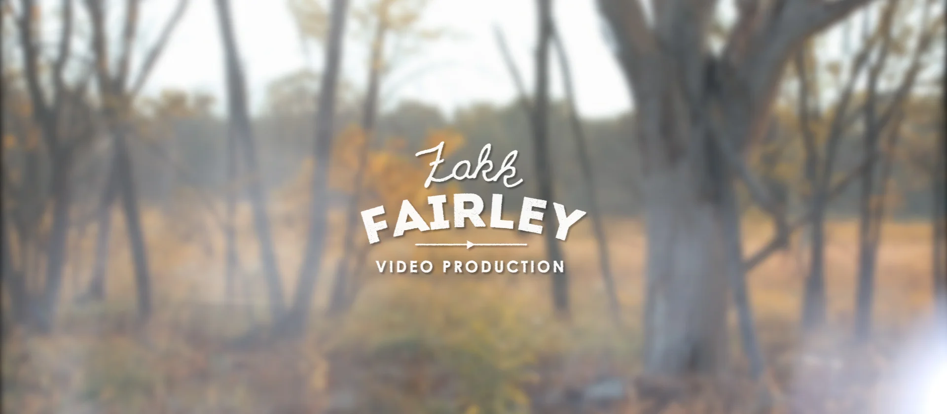 Illinois Forest Montage